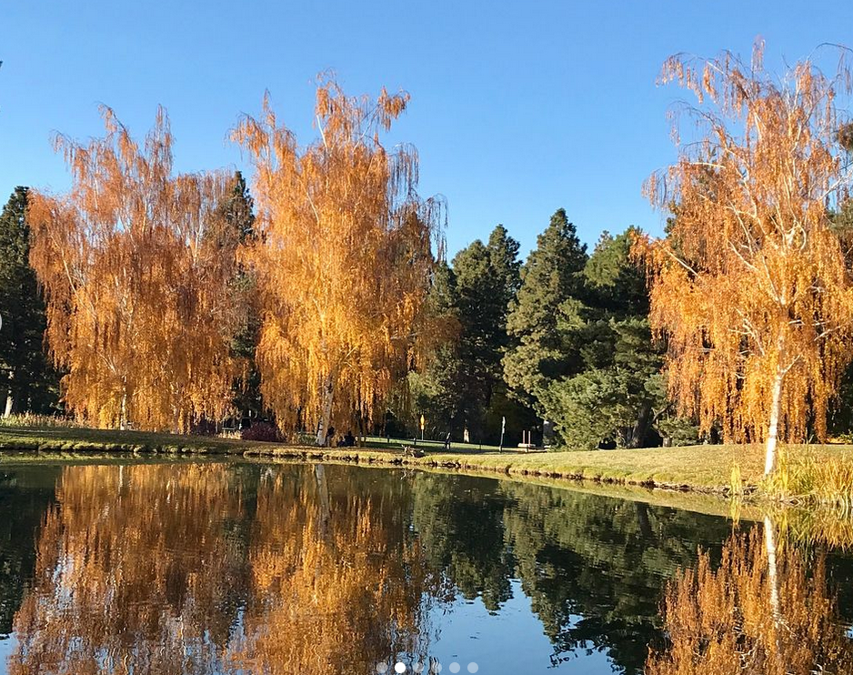 Screen Shot 2021-03-15 at 2.41.29 PM.png