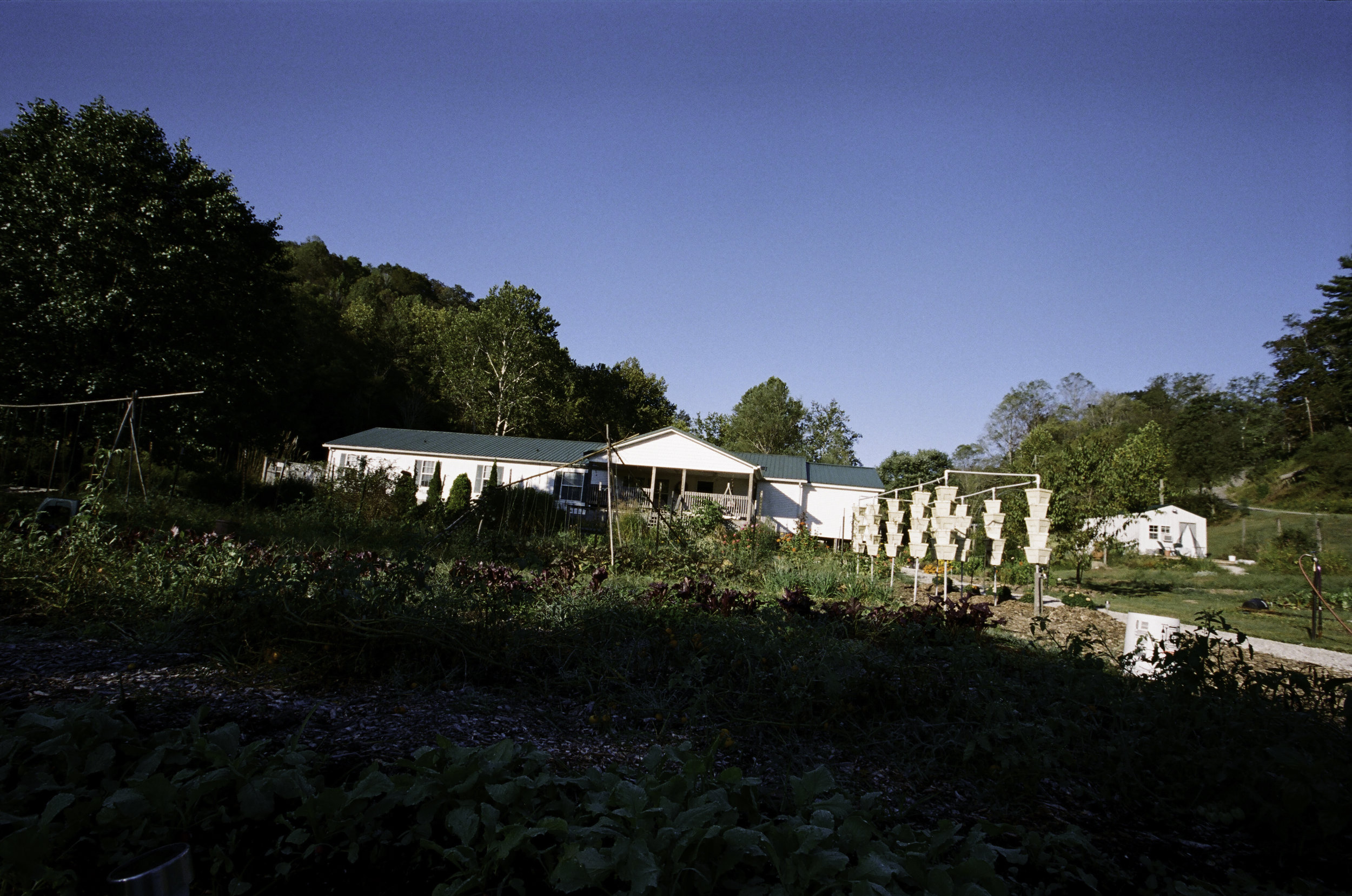  An early morning at Hudson Farms. 