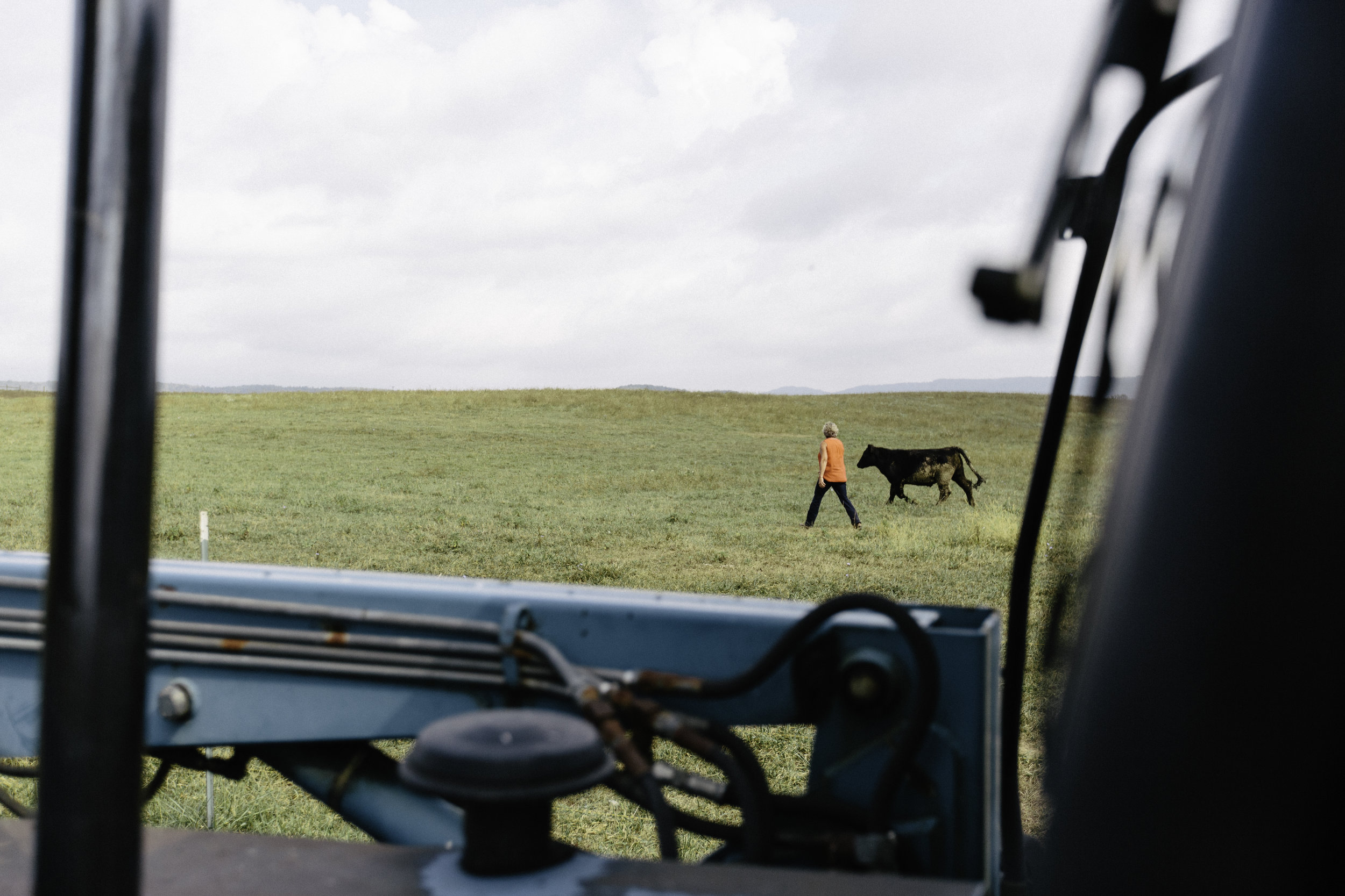 It takes time for new calves to learn the rhythm of the herd. Tootie gently guides this one in the right direction. “We don’t chase anything, they follow. My cousin once told me that’s the difference between a shepherd and a herder.” 