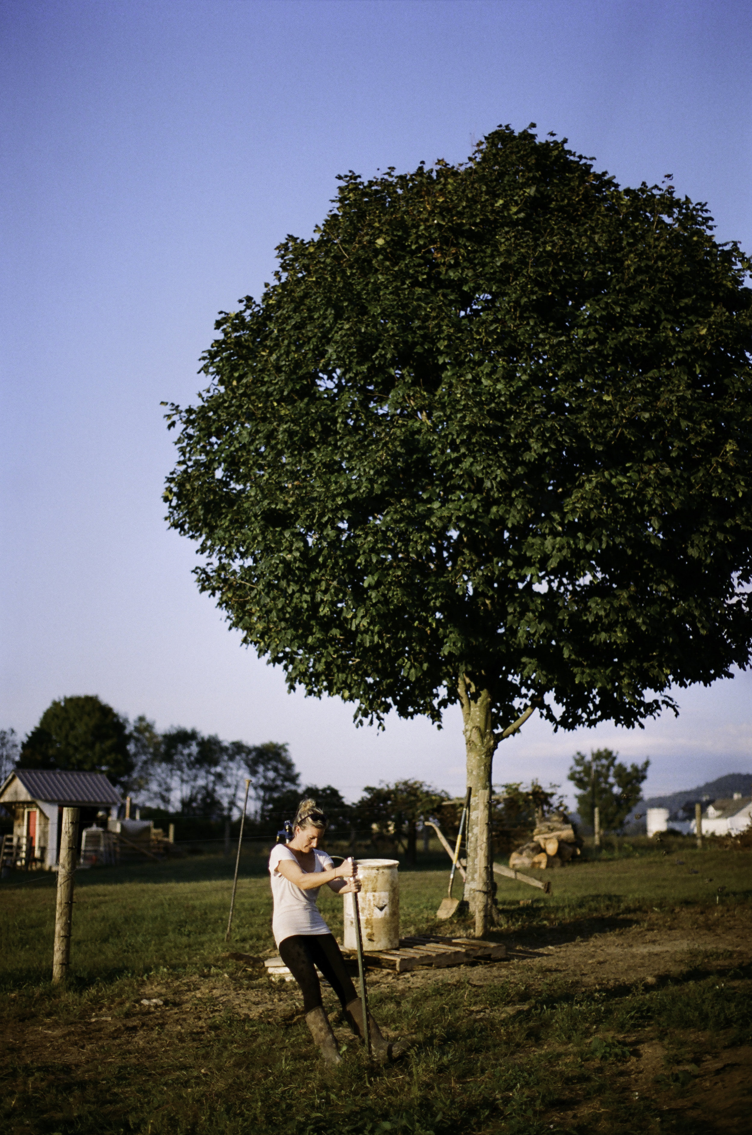 Rece, Will and Adelyn live down the road and have begun to operate their own farm, Red Tail Ridge, specializing in pork.