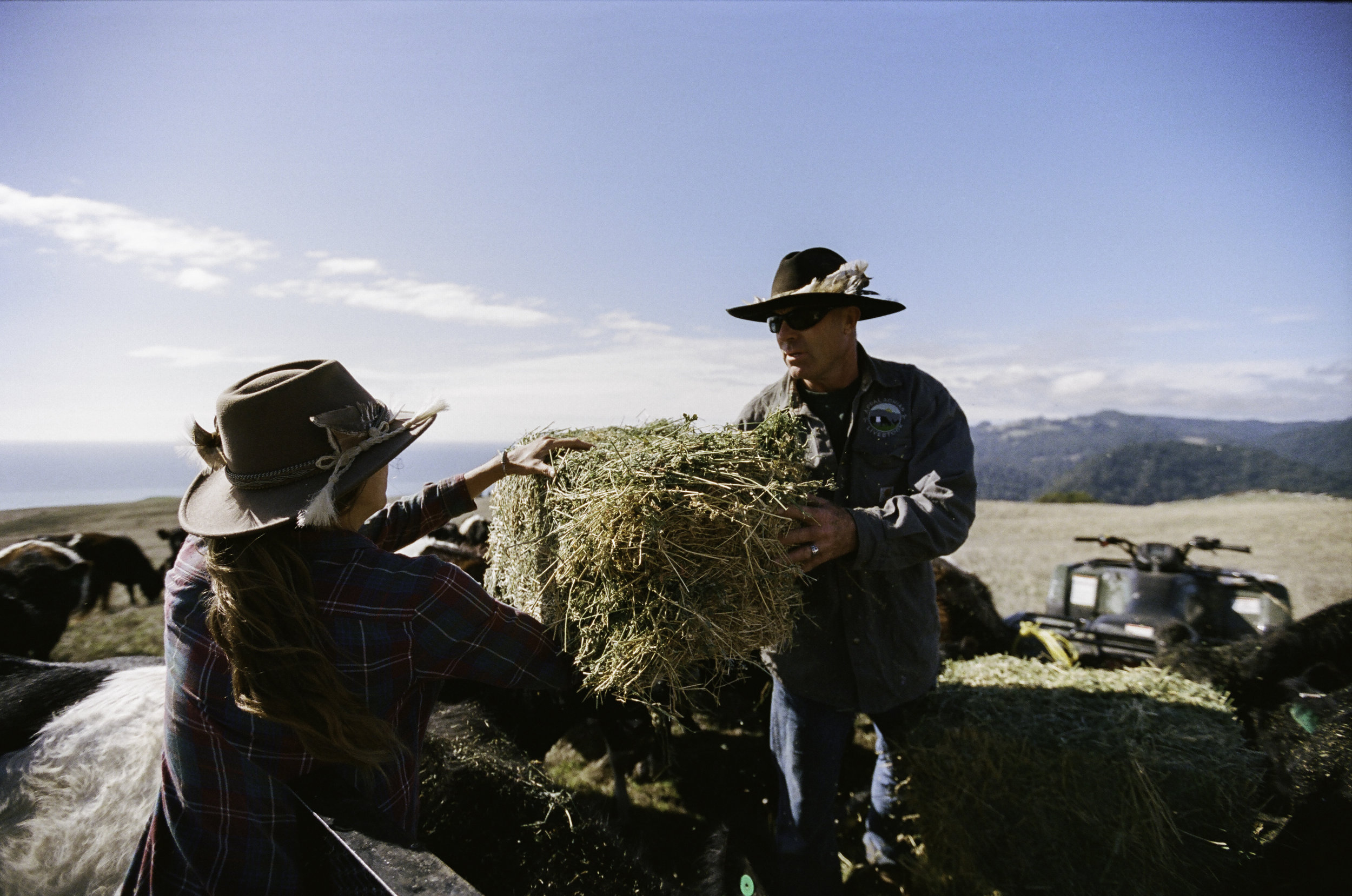  Erik handing hay over to Suey. - Jenner, CA 