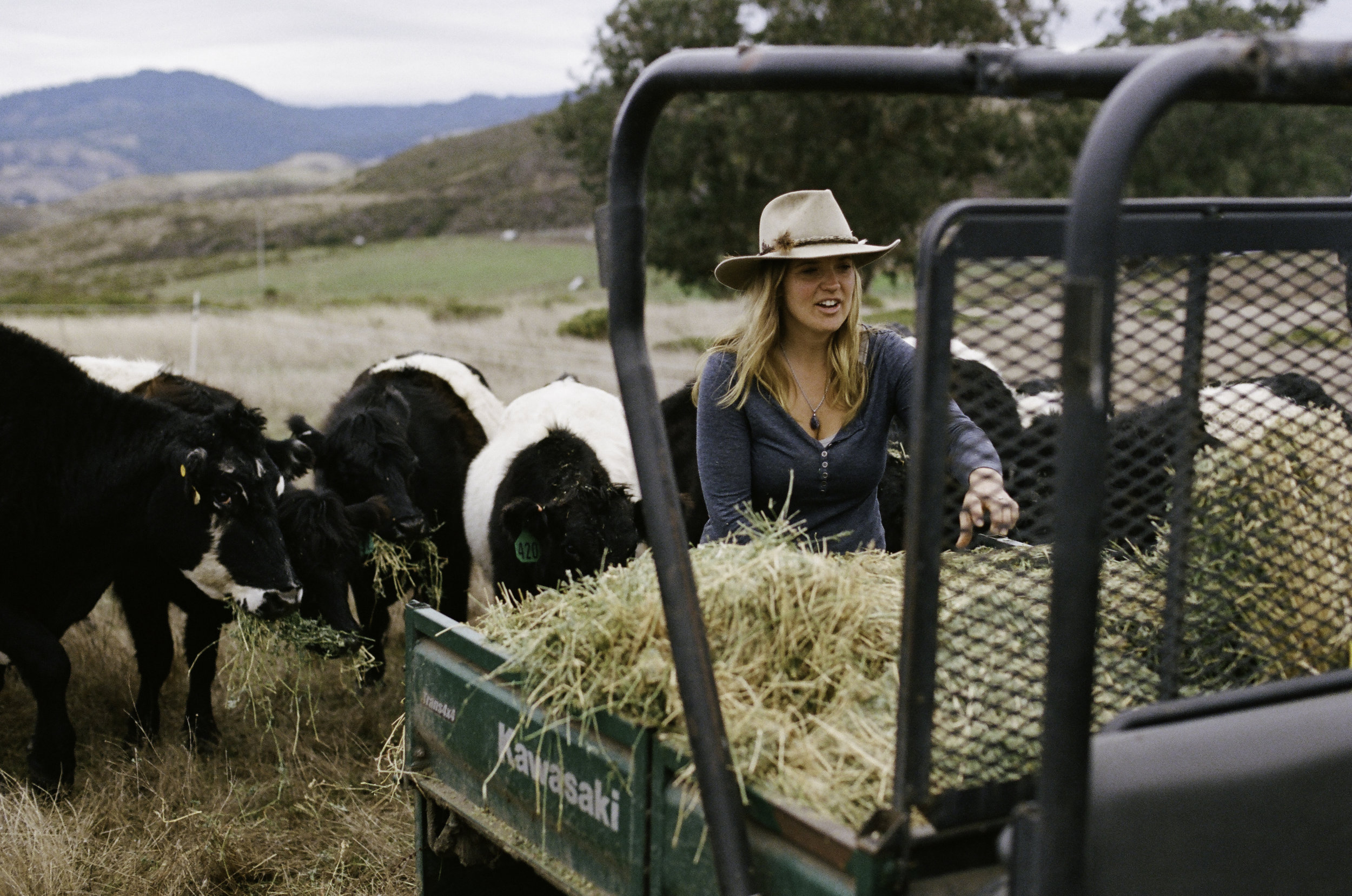  Doniga Markegard unloads hay at their home ranch two hours south of Jenner. - Half Moon Bay, CA 