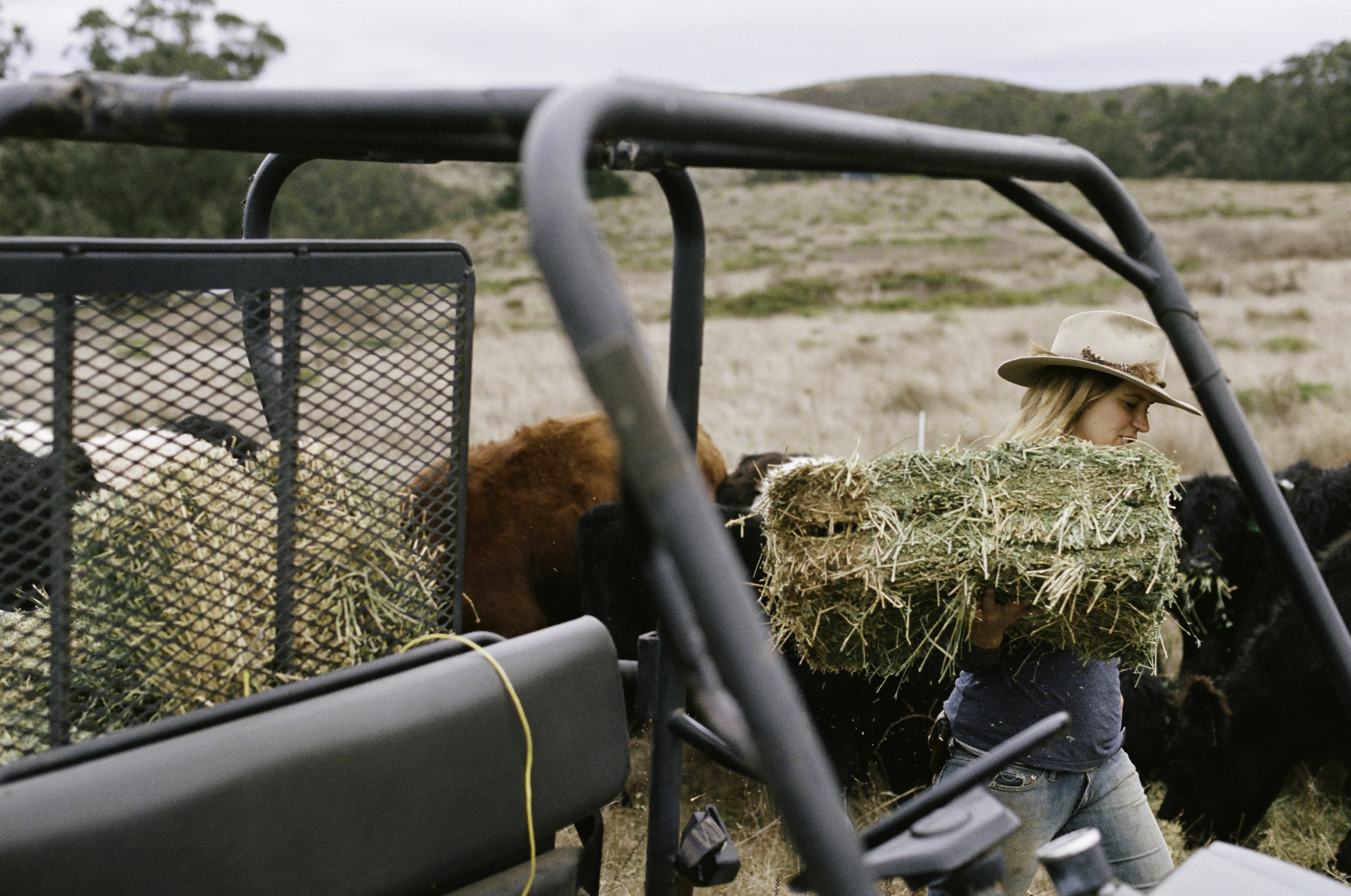  Doniga Markegard unloads hay at their home ranch two hours south of Jenner. - Half Moon Bay, CA 