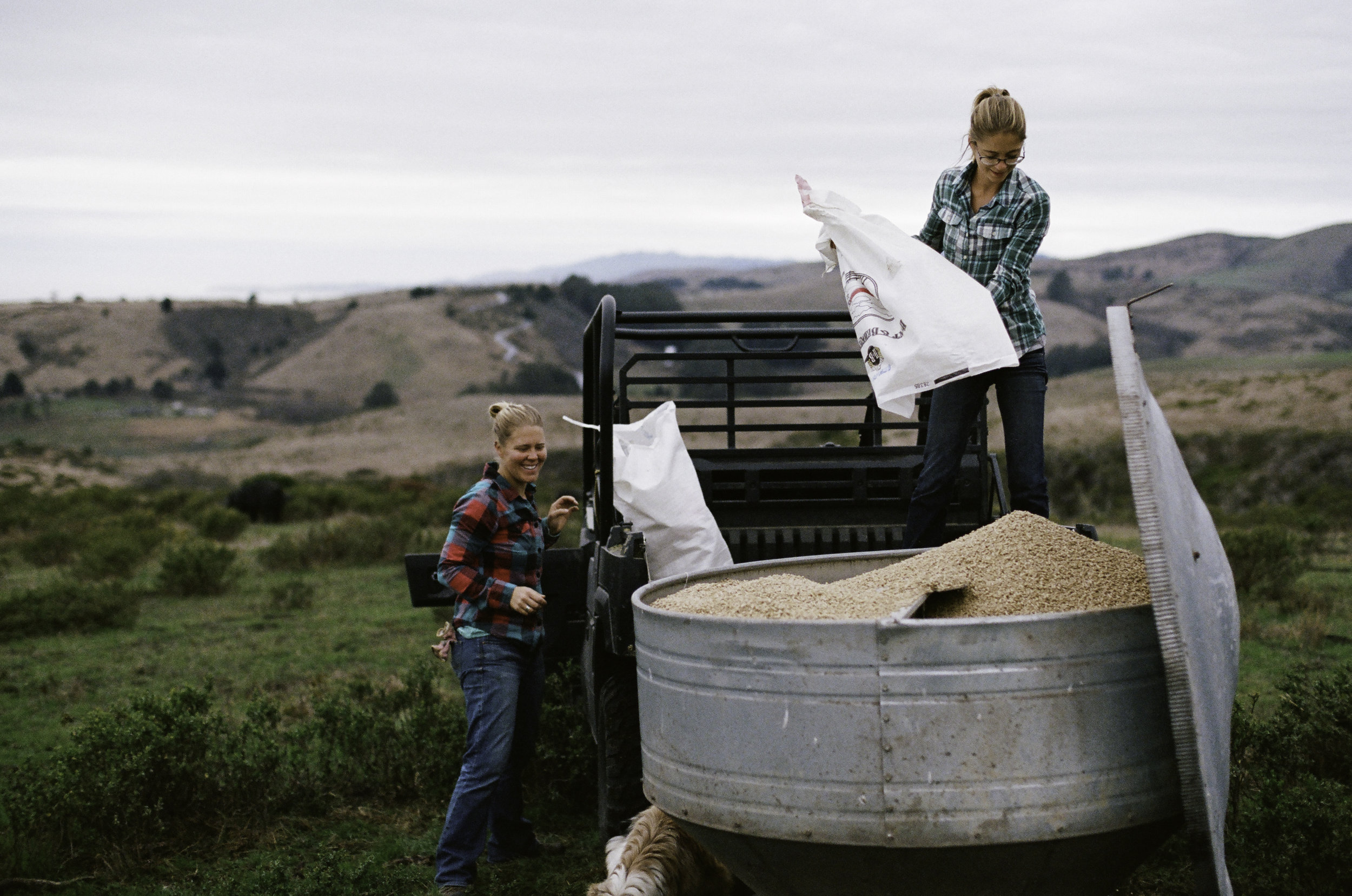  Family friends Ruth Saunders (L) AND Johanna Long (R) fill up the pig feeder. They are fed a varied diet of grass, grains, vegetables and more. - Half Moon Bay, CA 