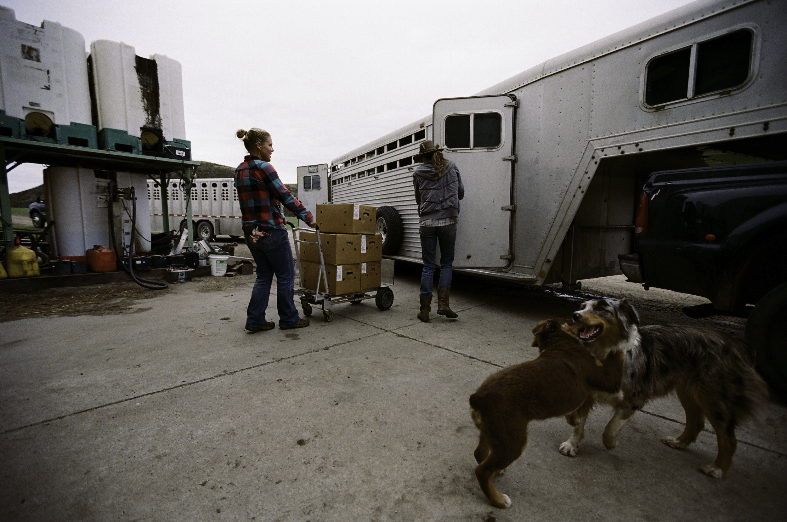  Ruth and Suey unload freshly processed meat. - Half Moon Bay, CA 