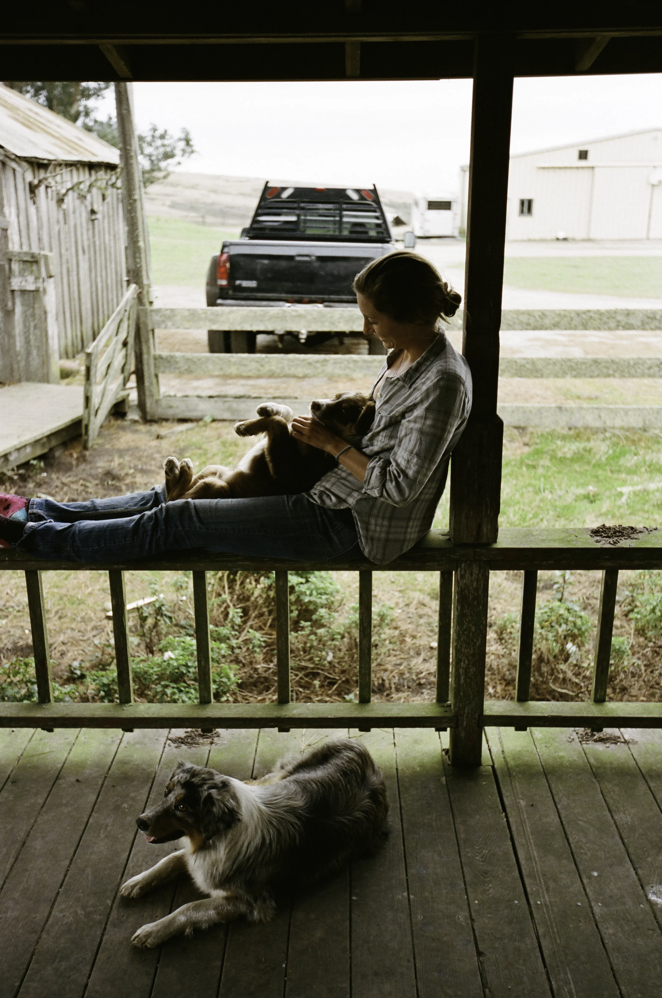 Suey enjoying a quiet moment with the dogs - San Gregorio, CA