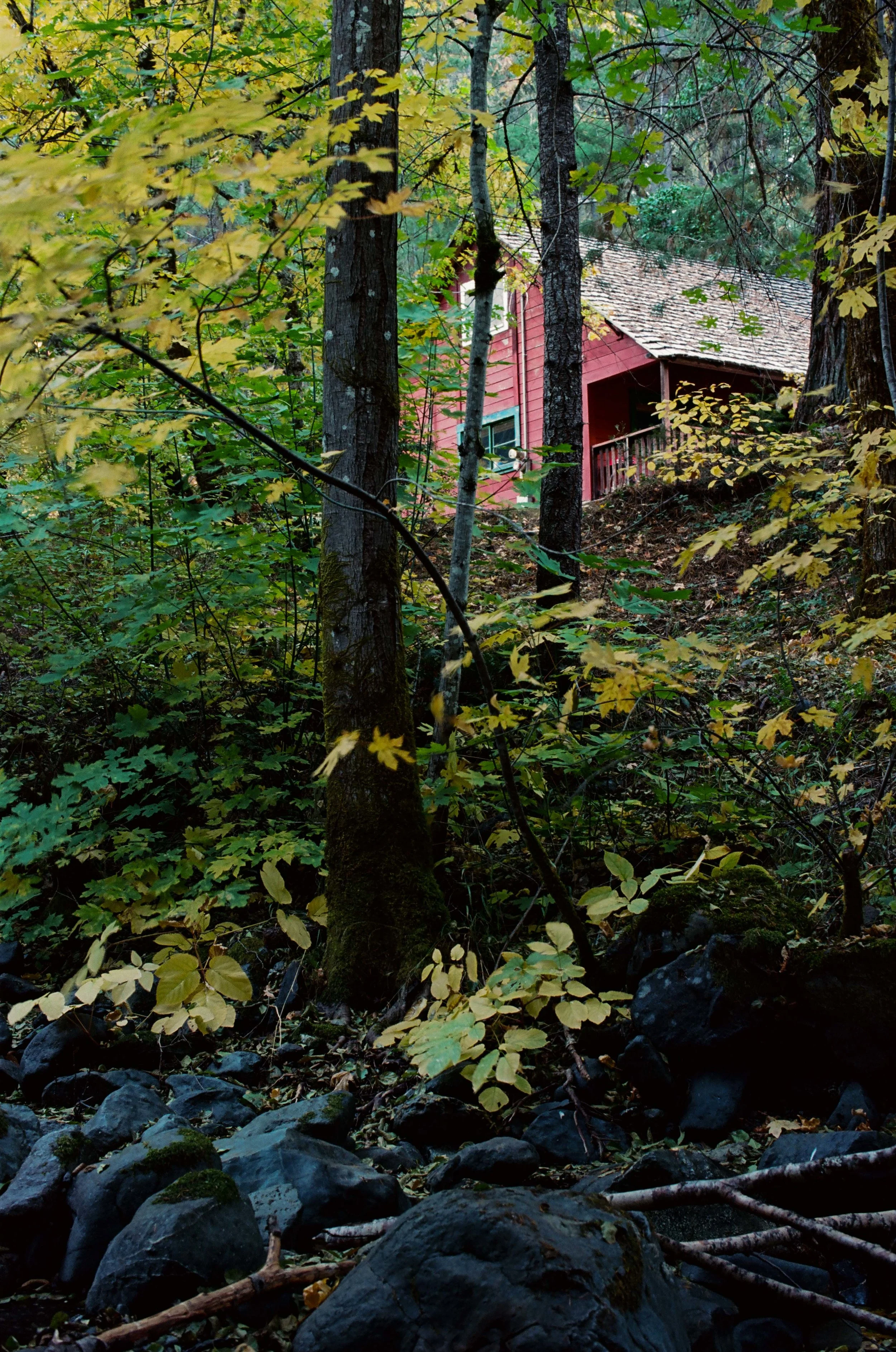 Hayfork, CA - October 2018