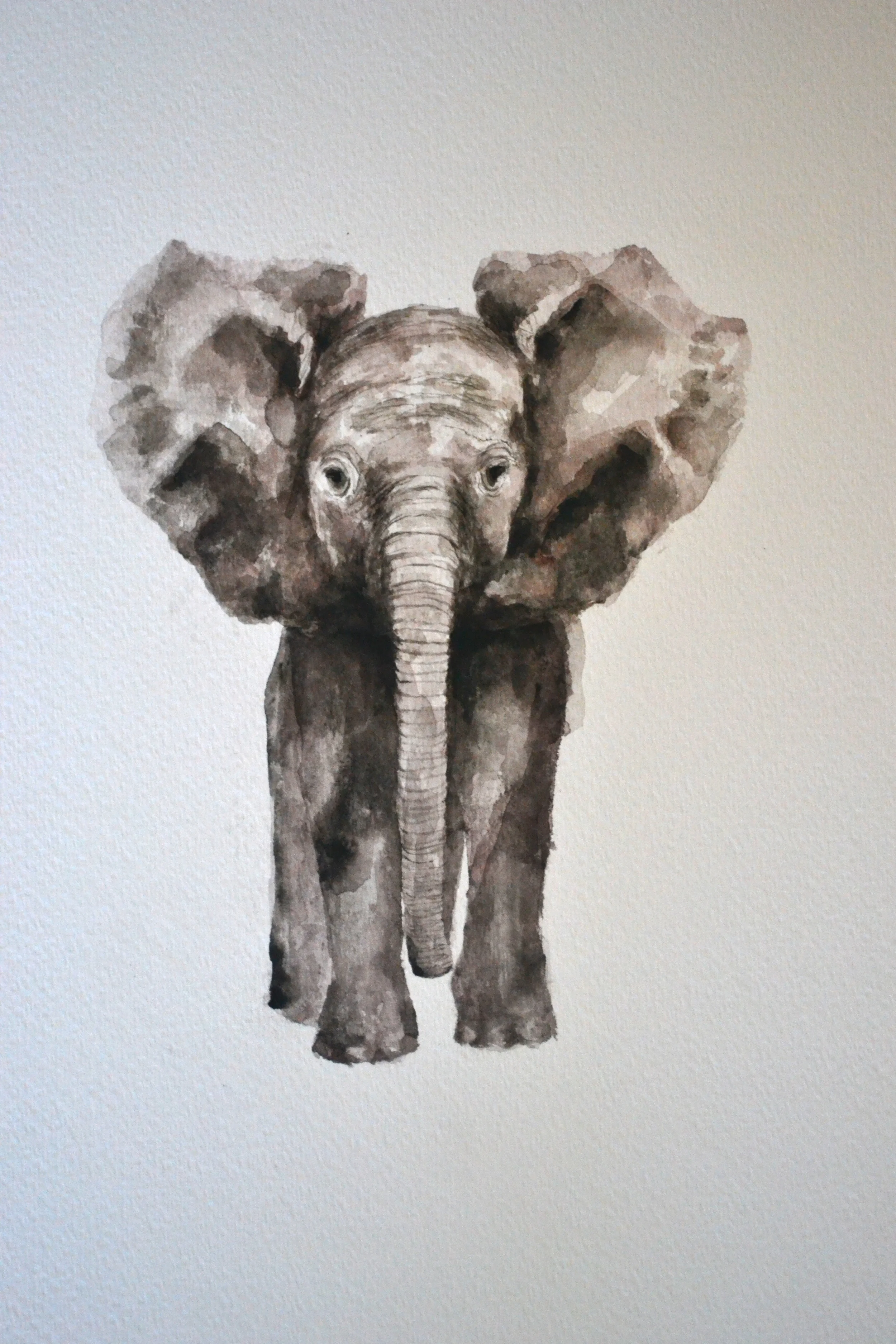 DSC_2535 - Version 2.JPG