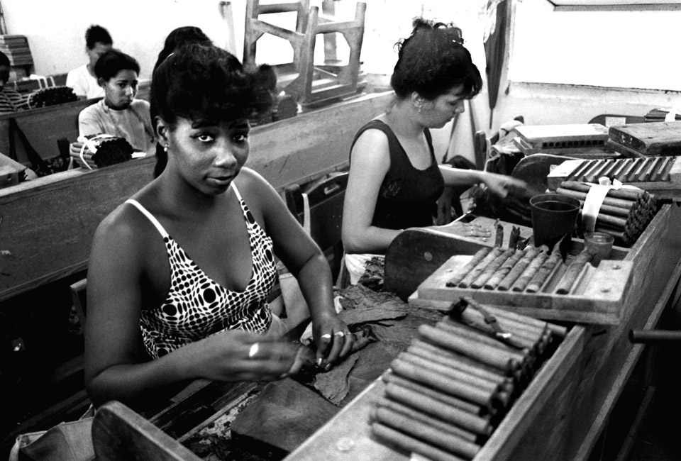 tobacco factory in Pinar del Rio , cuba 1999