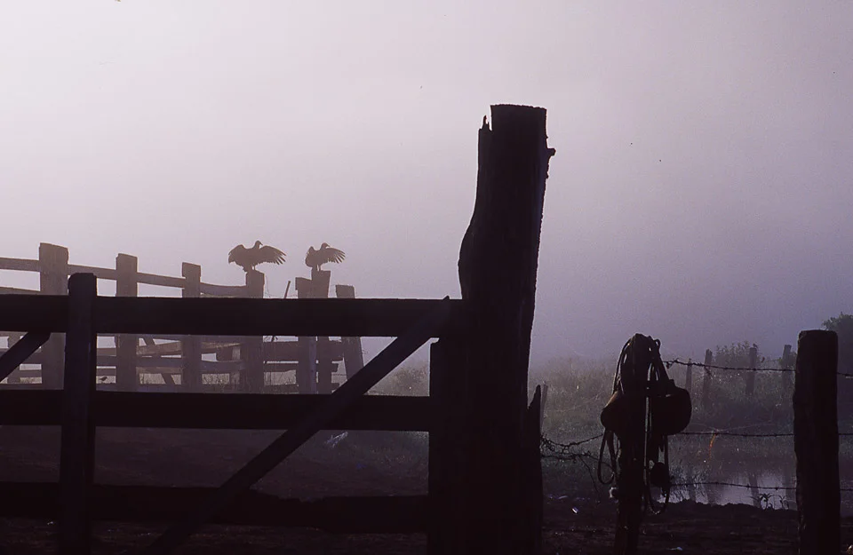 fazenda barreiro , minas gerais, brazil 2012