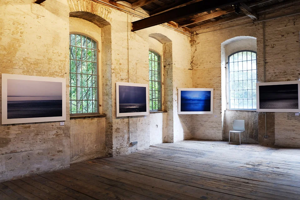 zacherlfabrik, vienna, austria • exhibition horizons, in space & time and forests 2017