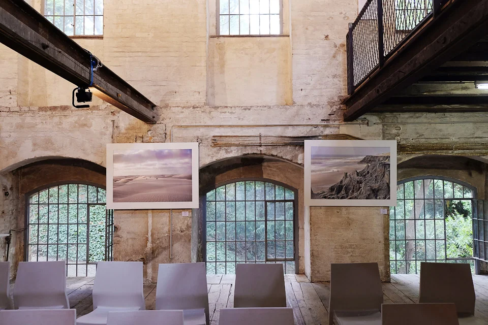 zacherlfabrik, vienna, austria • exhibition horizons, in space & time and forests 2017
