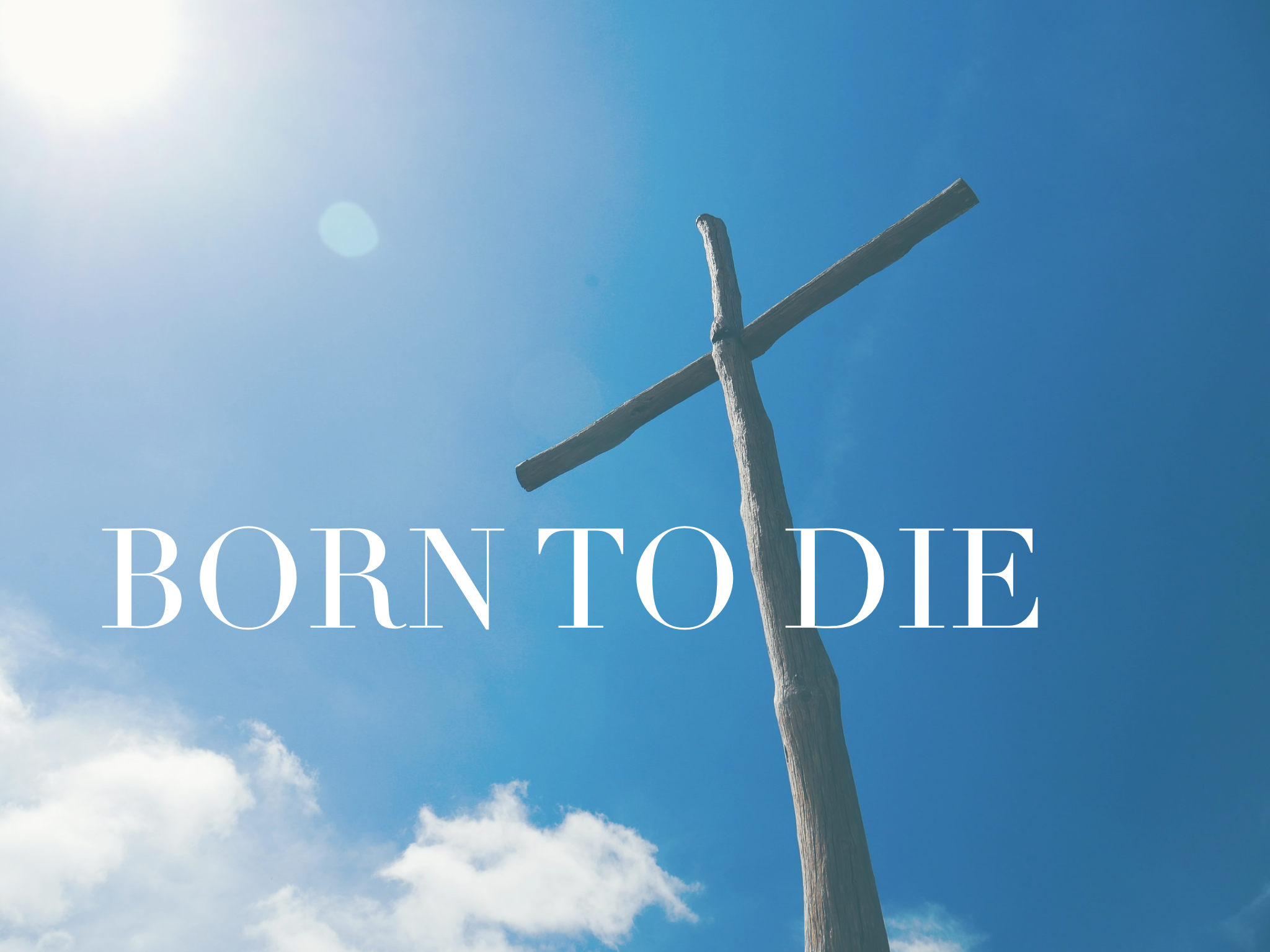 Advent Together: Born to Die, Guest Post By Danielle Anderson