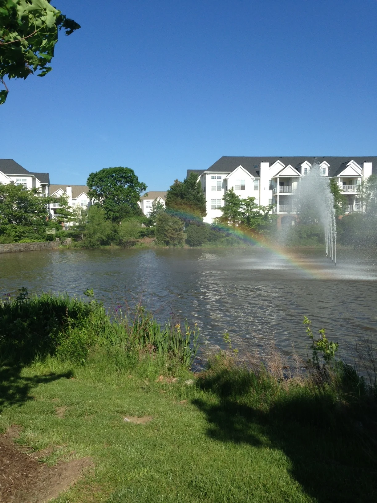 i spy a rainbow