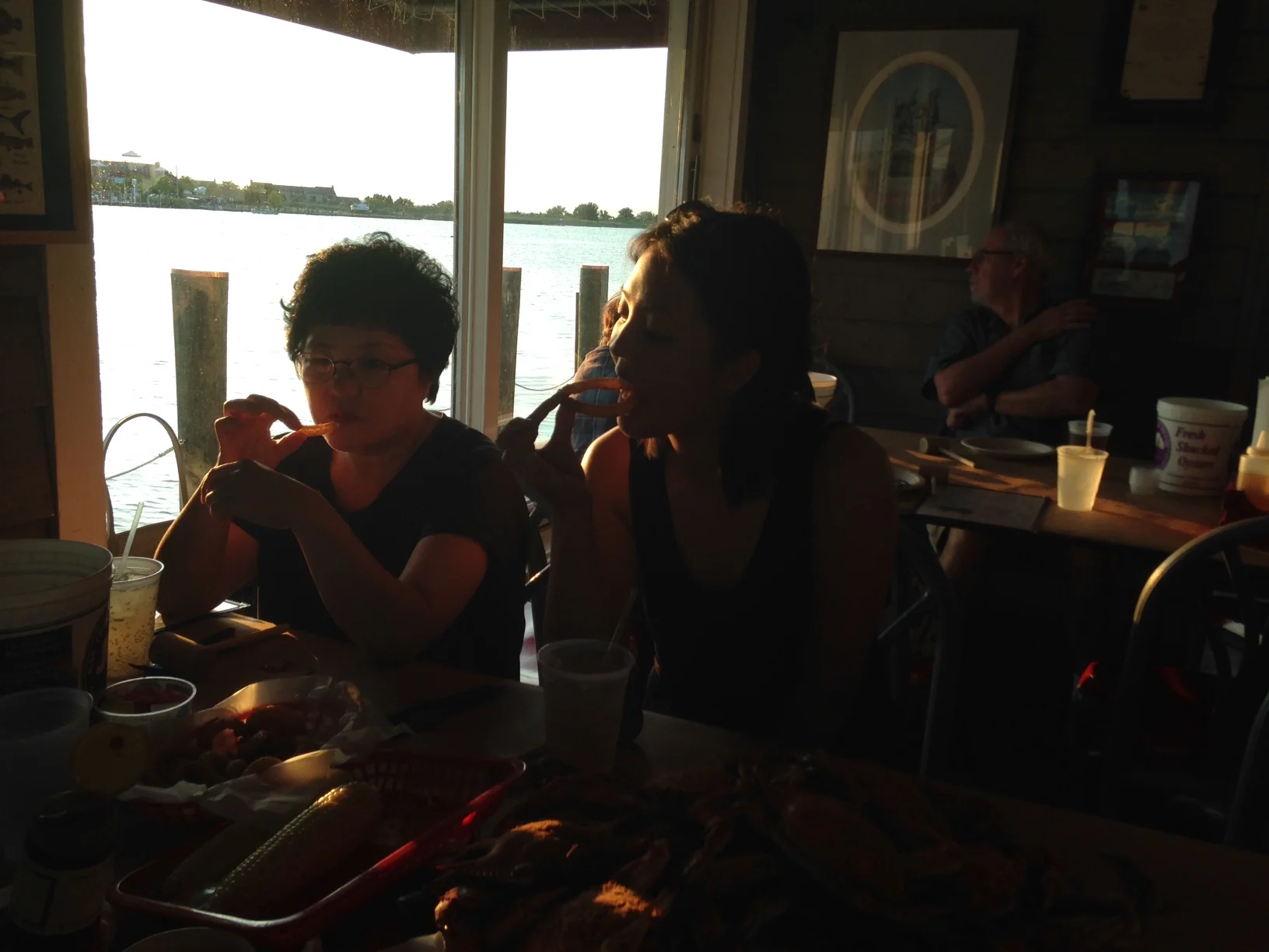 Onion rings at sunset 