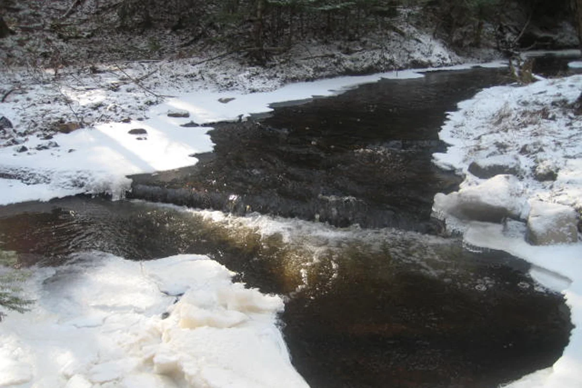 hikepatonthebrook.jpg