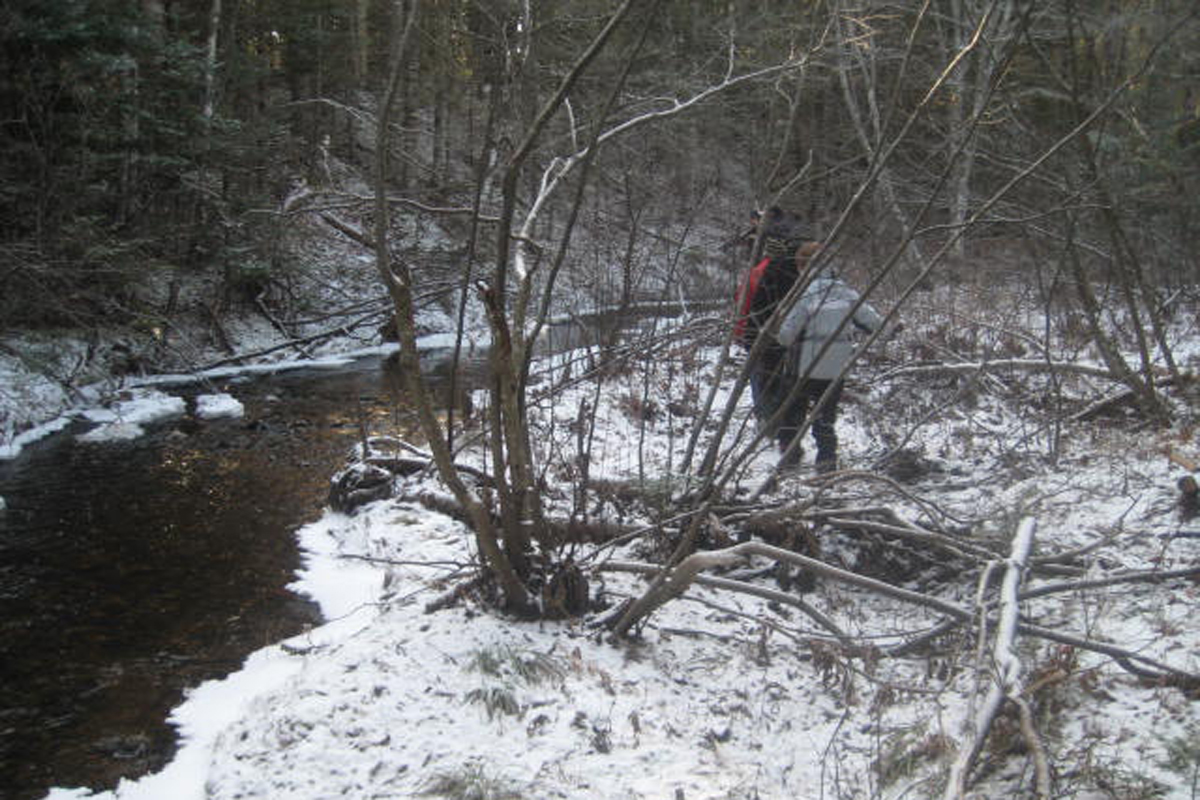 hikepattonbrrookhike 034.jpg