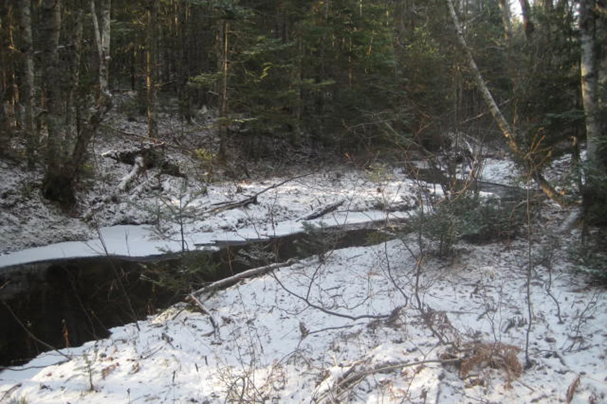 hikepattonbrrookhike 043.jpg
