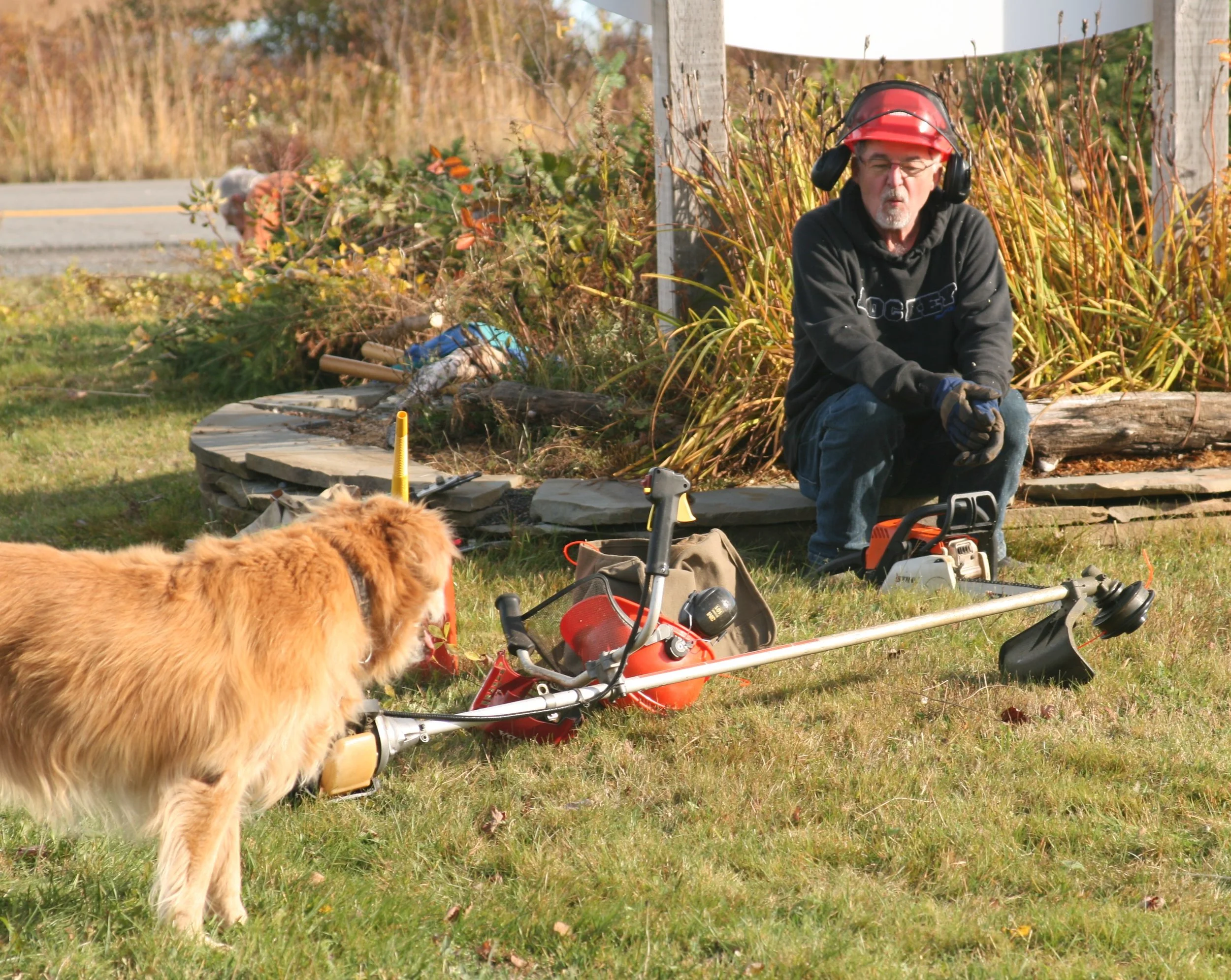 2016 11 05 - Ditch Cleaning 6.jpg
