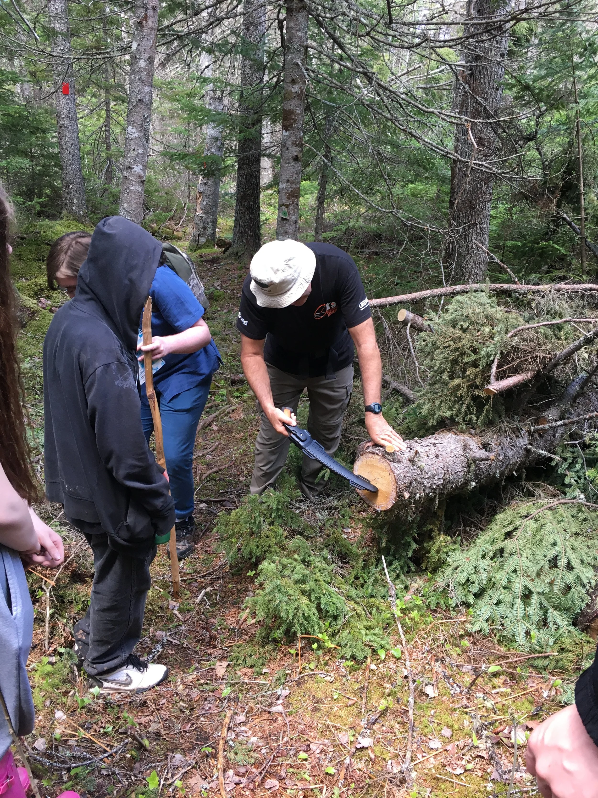 2019 06 - Field Day Aging a tree.jpeg