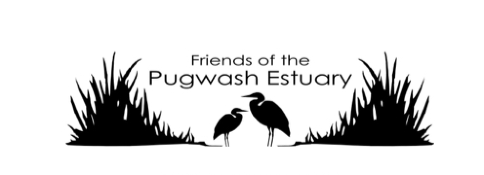 Friends of the Pugwash Estuary