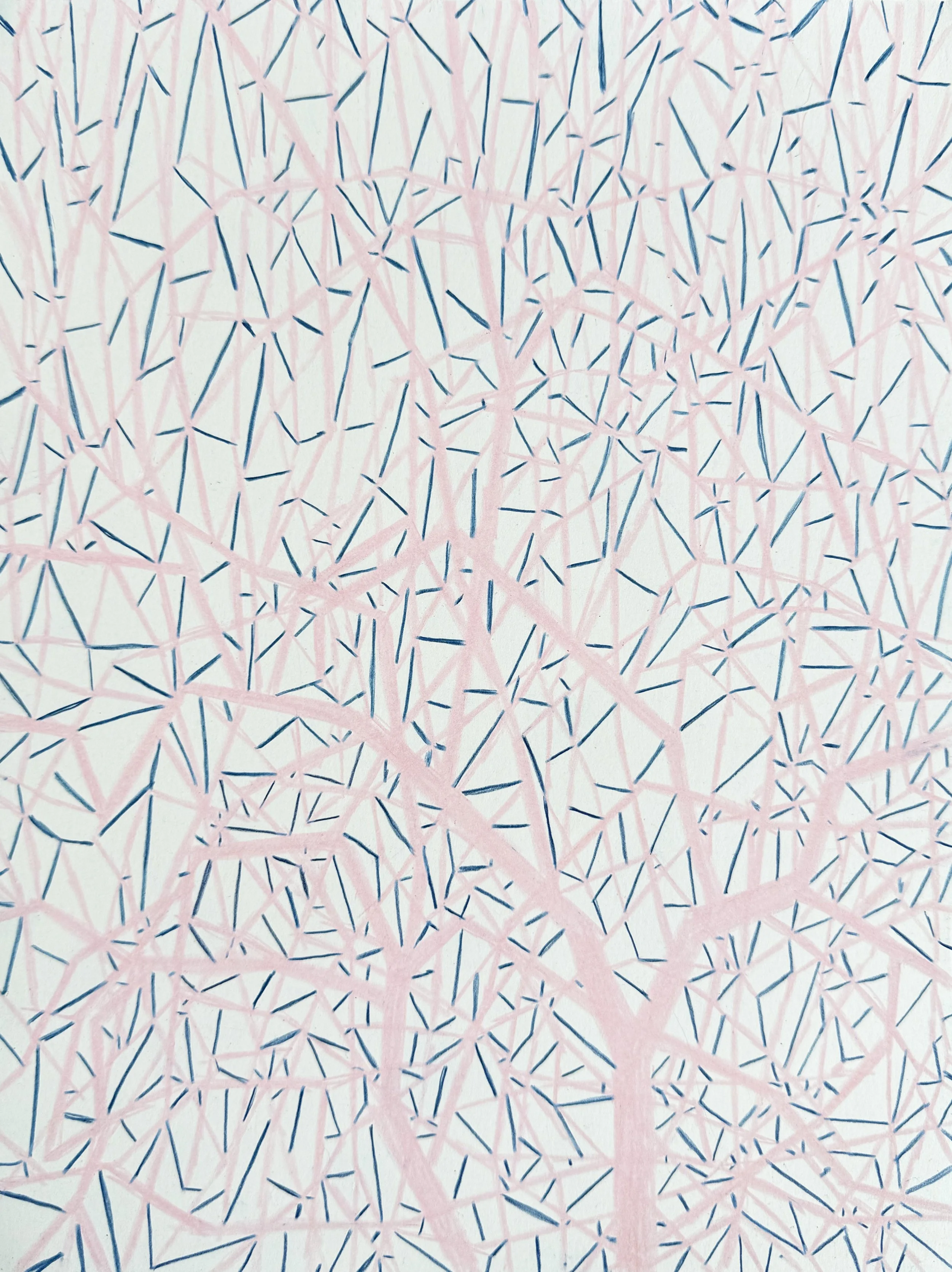 P and I (1); Colored Pencil on Paper; 14” x 11” 