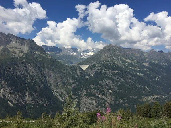 this was a lush view at the top of a climb we did, with a dam in the middle of the picture.