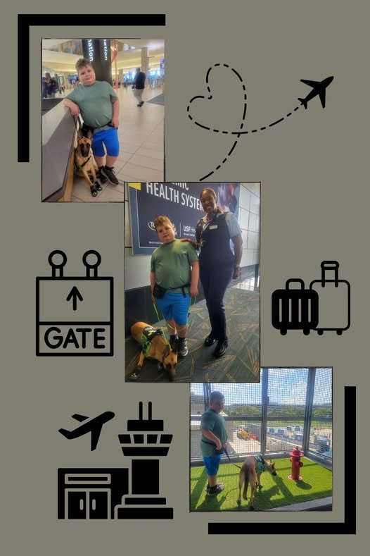 Service Dog Agnes working at Tampa Airport