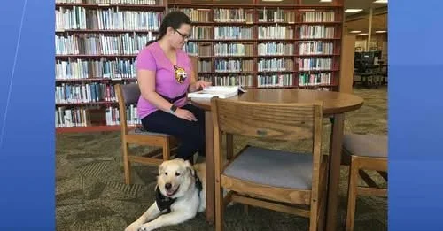 Trevor the Service Dog working at PHCC