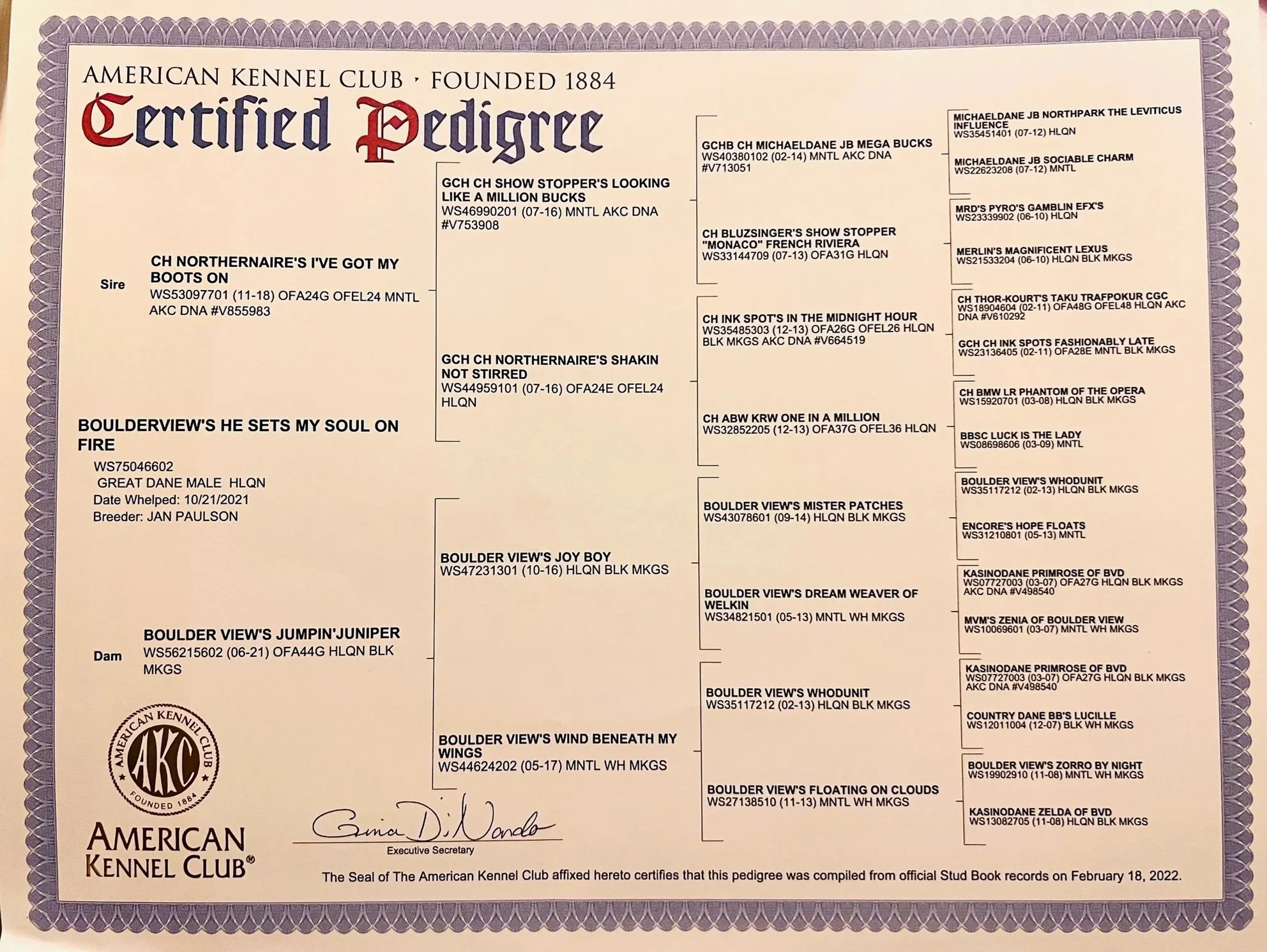 Inferno Pedigree.jpg