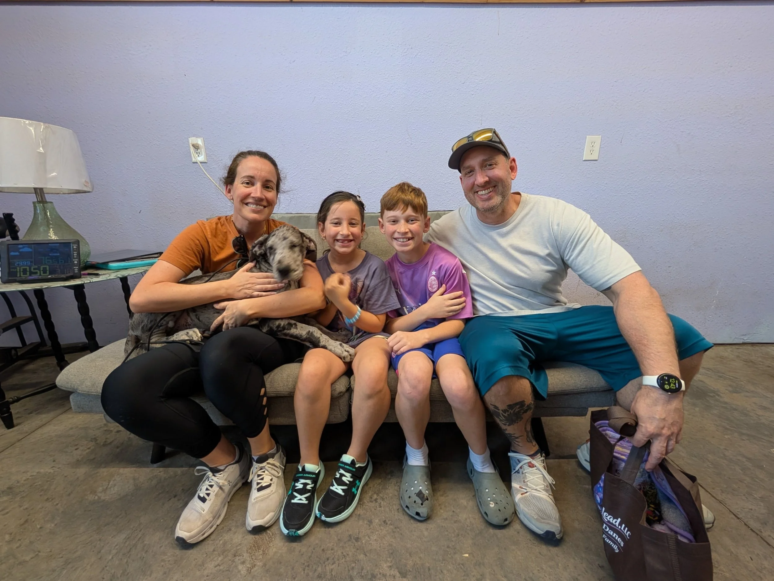processed_cfc32124-fa39-442c-9f4c-7b27dcad1087-1_all_58353.jpg