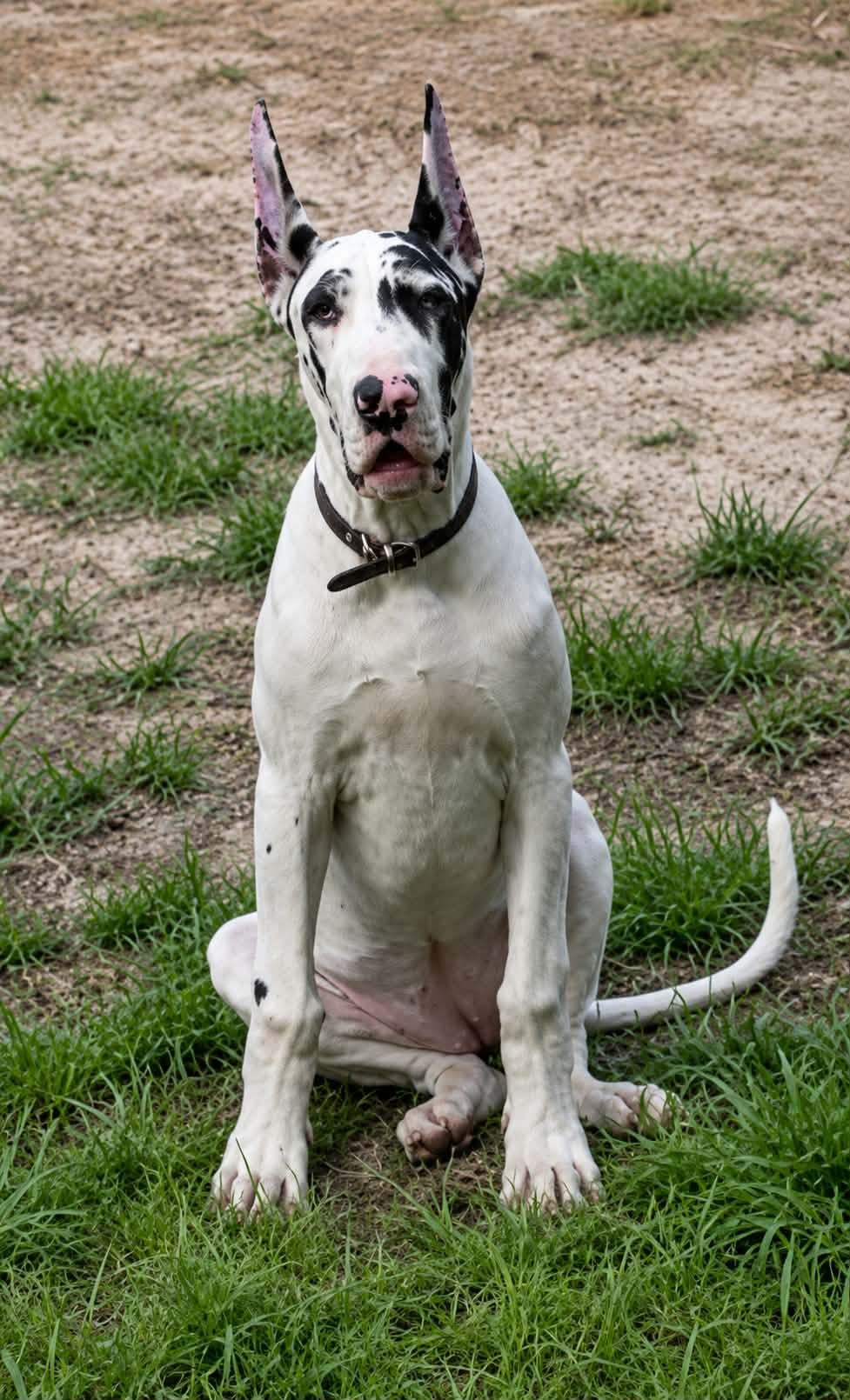 Karma Sitting Pretty