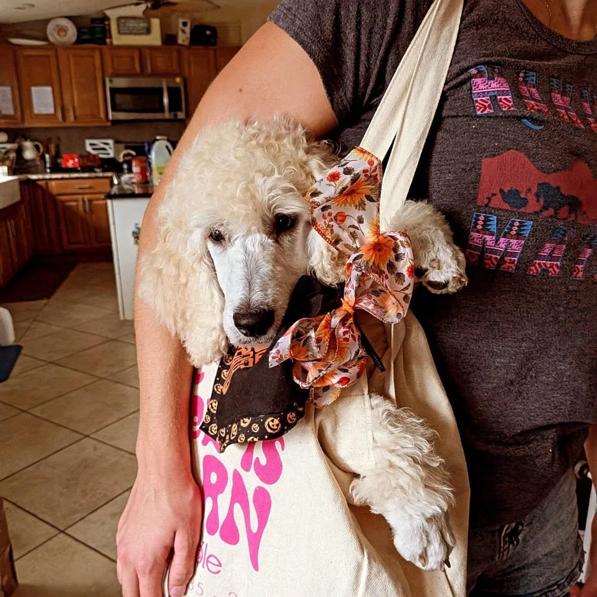 cream-in-tote.jpg