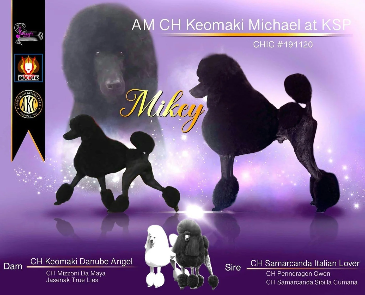 mikey-photo.jpg