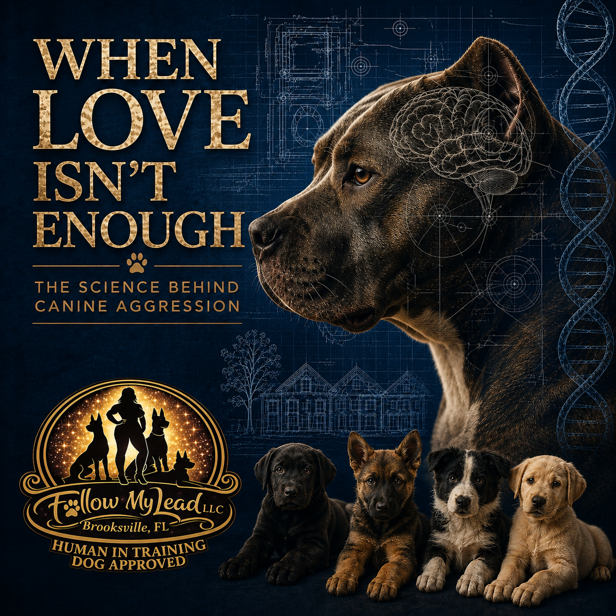 when love isnt enough.png