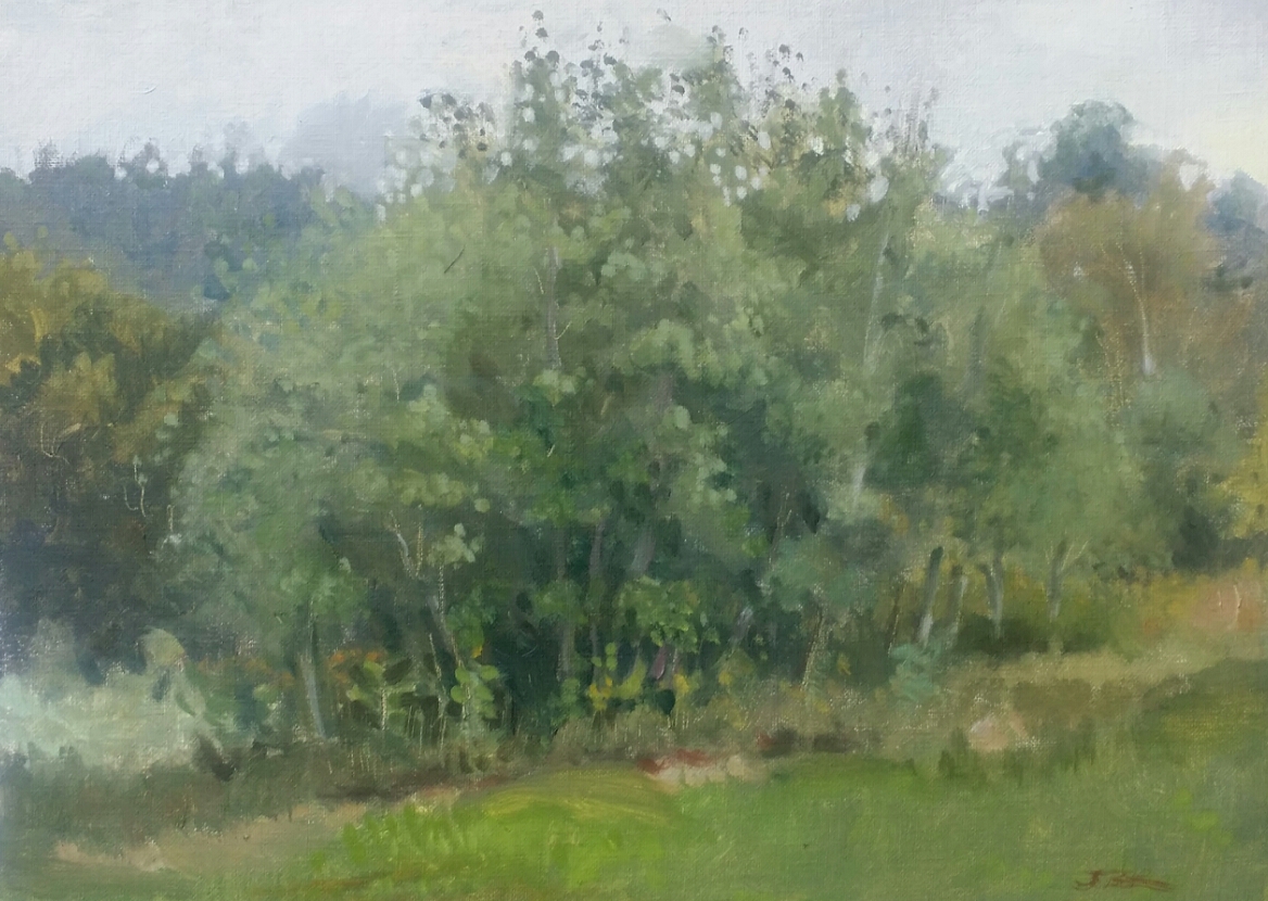 Fugue in grey and green: Rainy day in broadbent