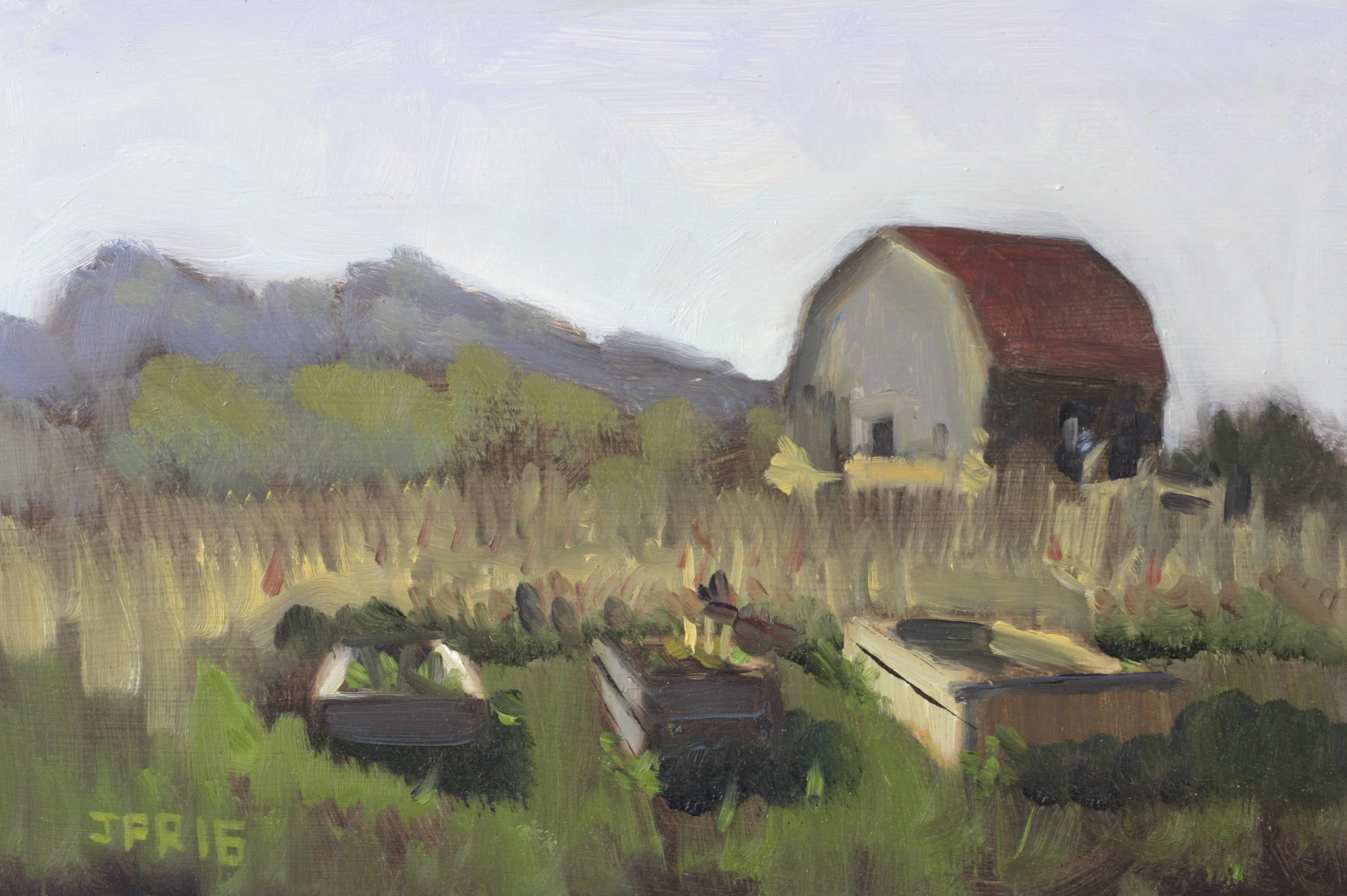 garden in fall (2016) 