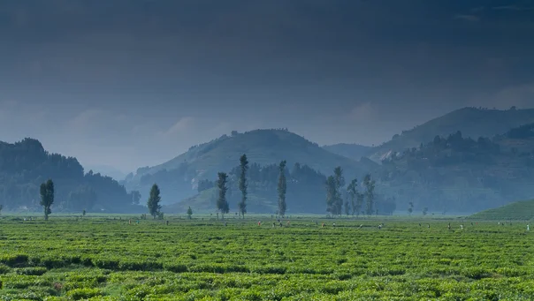 Rwanda
