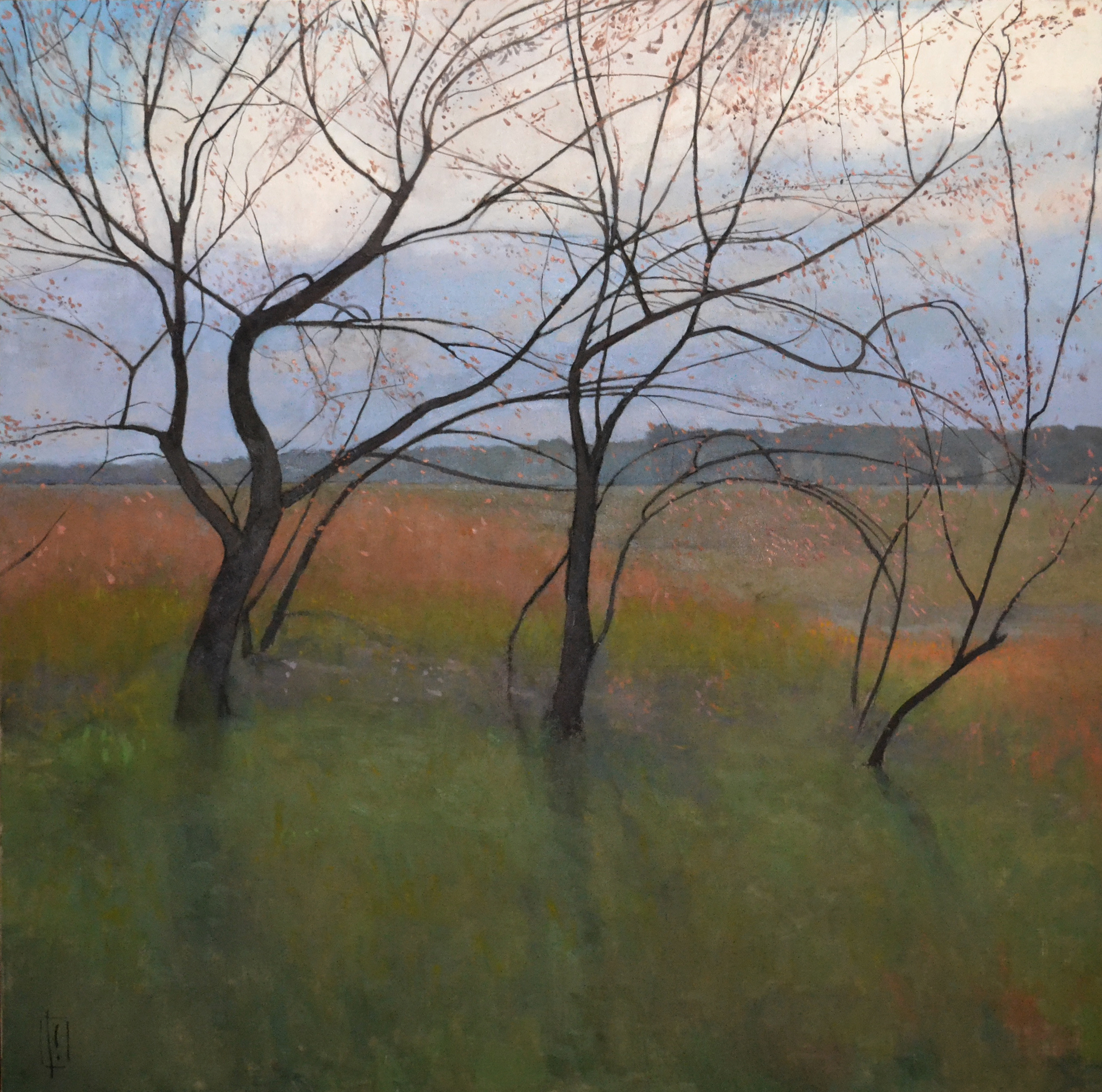   Blossomtime  48 x 48 &nbsp; oil on linen  sold    