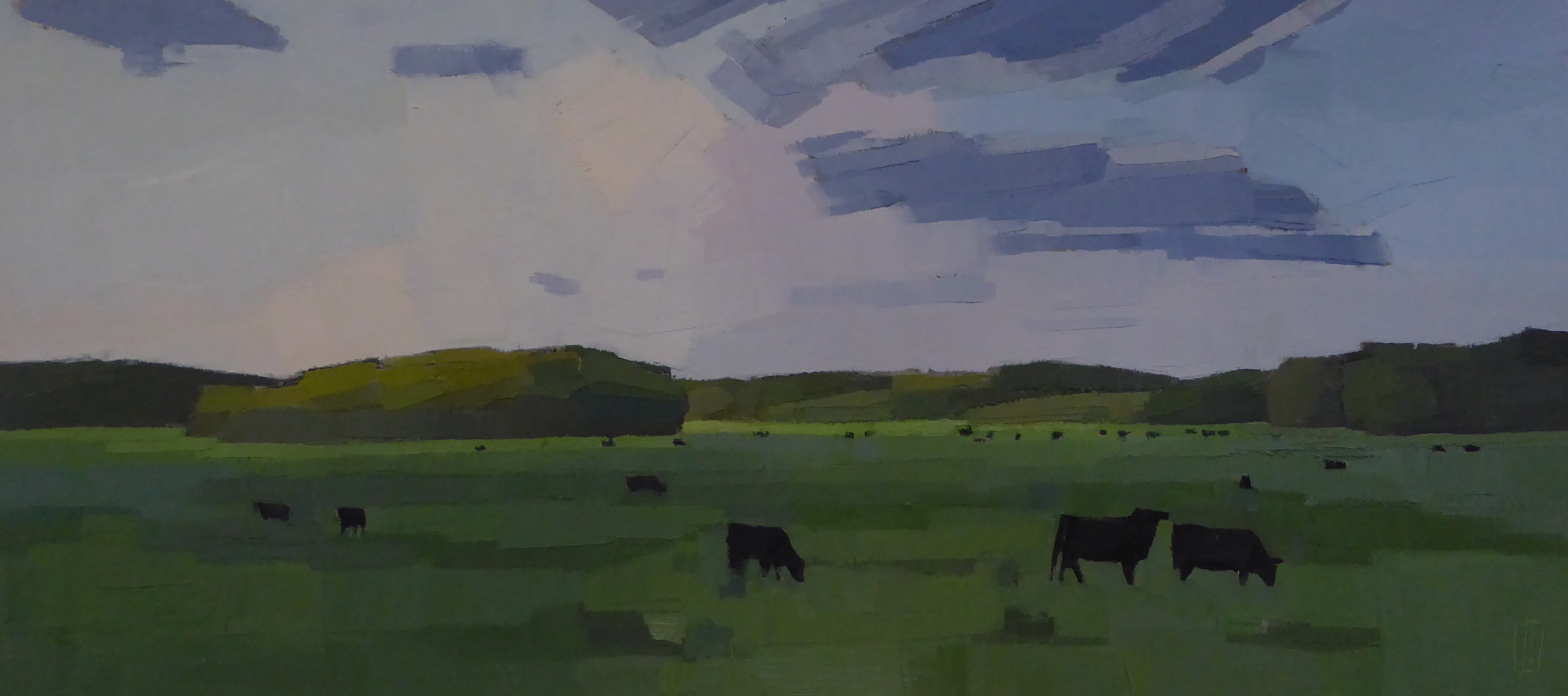  Black Cows, Green Field 10 x 22  Collection the Artist 