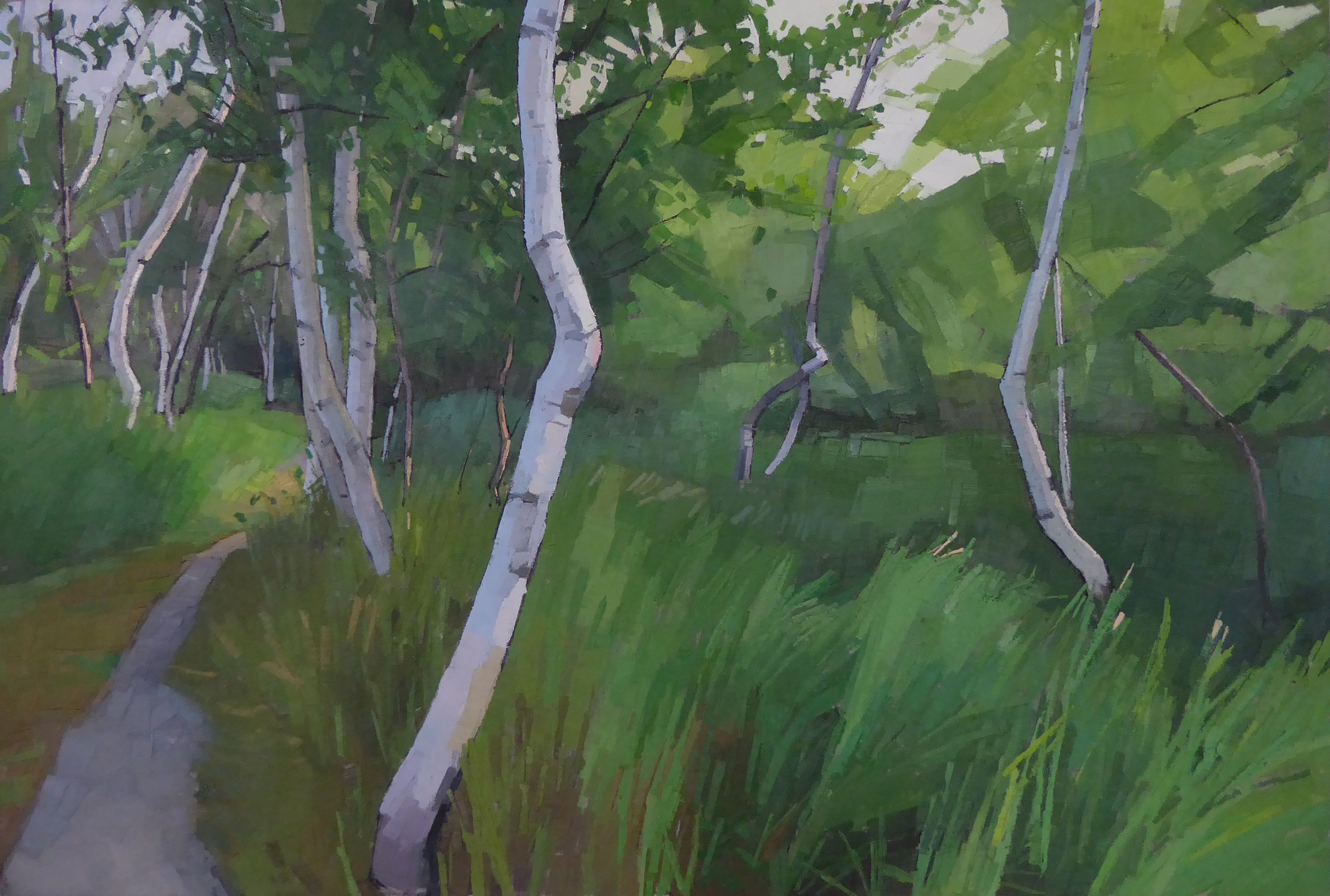   Crooked Birches  24 x 36 oil on linen  sold   NW Barrett Gallery  