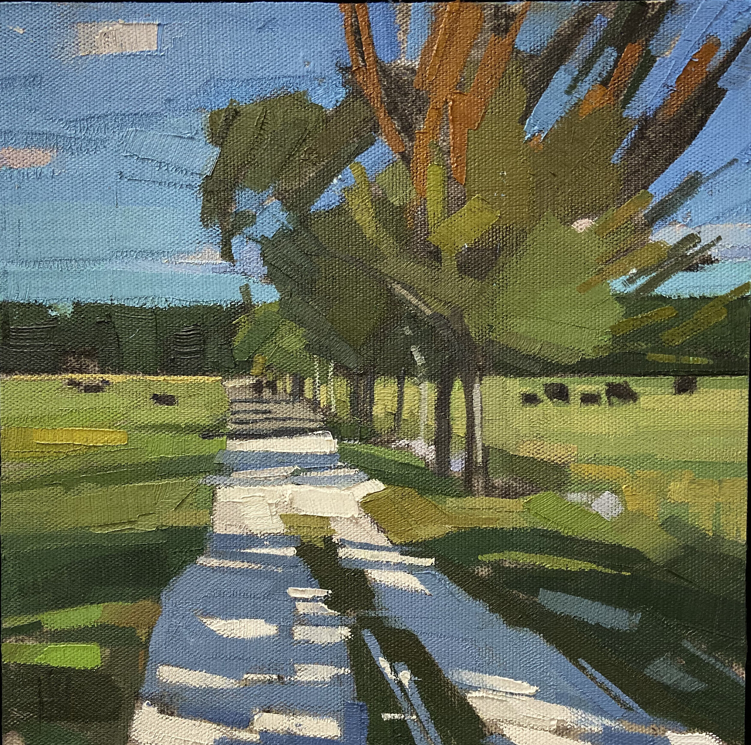   Fields in Summer  10 x 10 oil on cradled wood panel  sold 