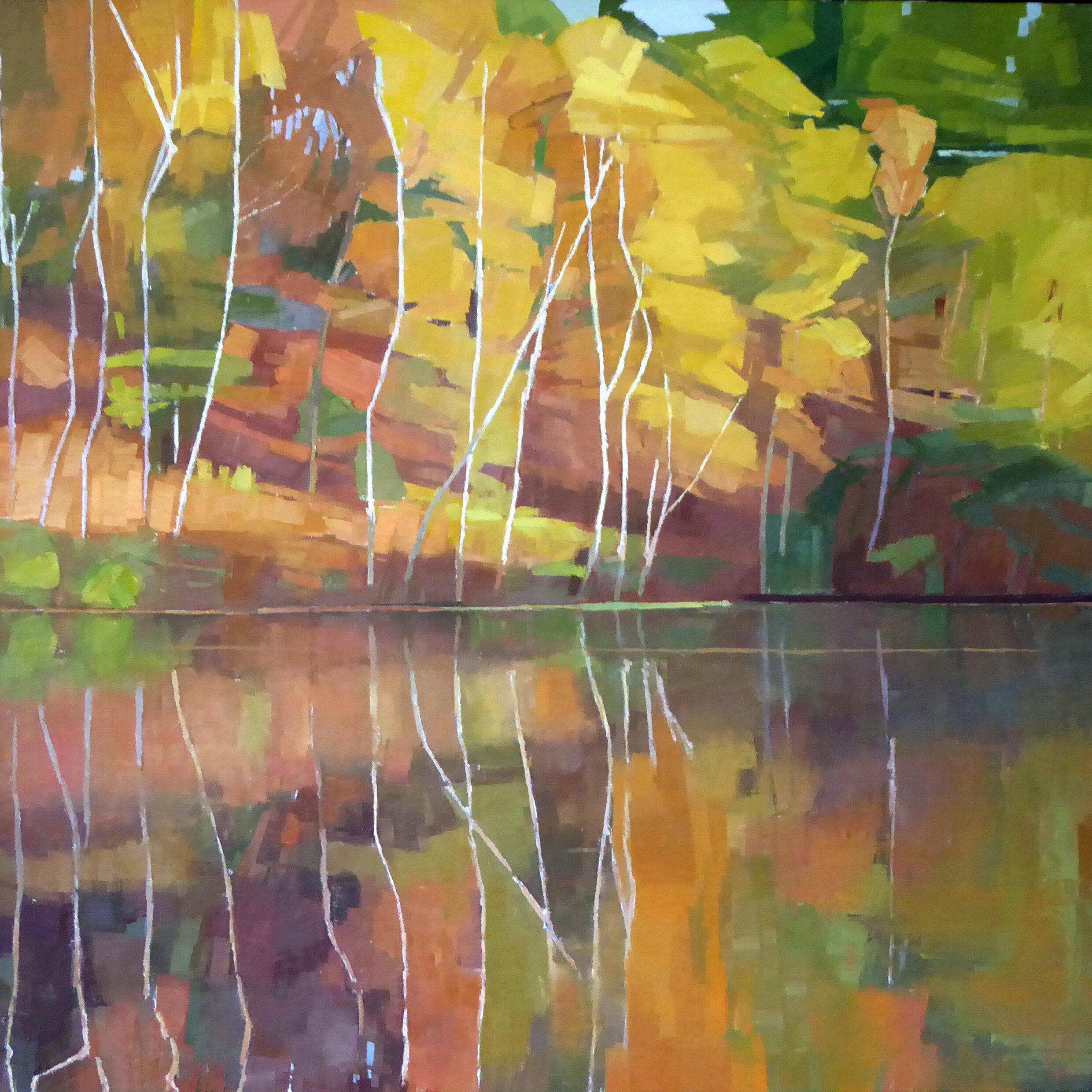   Birch Lake  30 x 30 oil on linen 4600 with clear maple floater frame  sold   Islesford Artists Gallery  