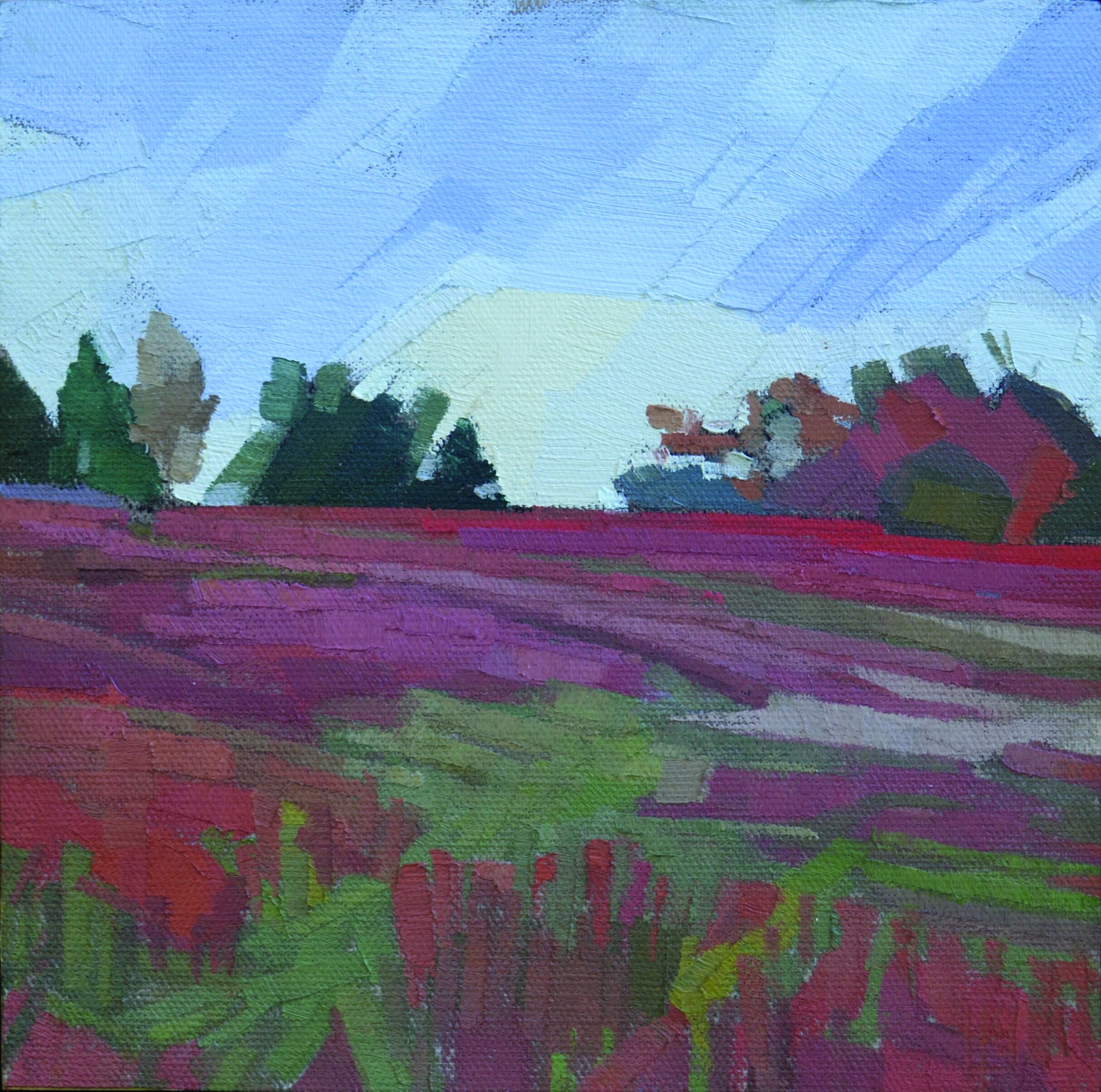   Heather Field Study 1  oil on linen 8 x 8  