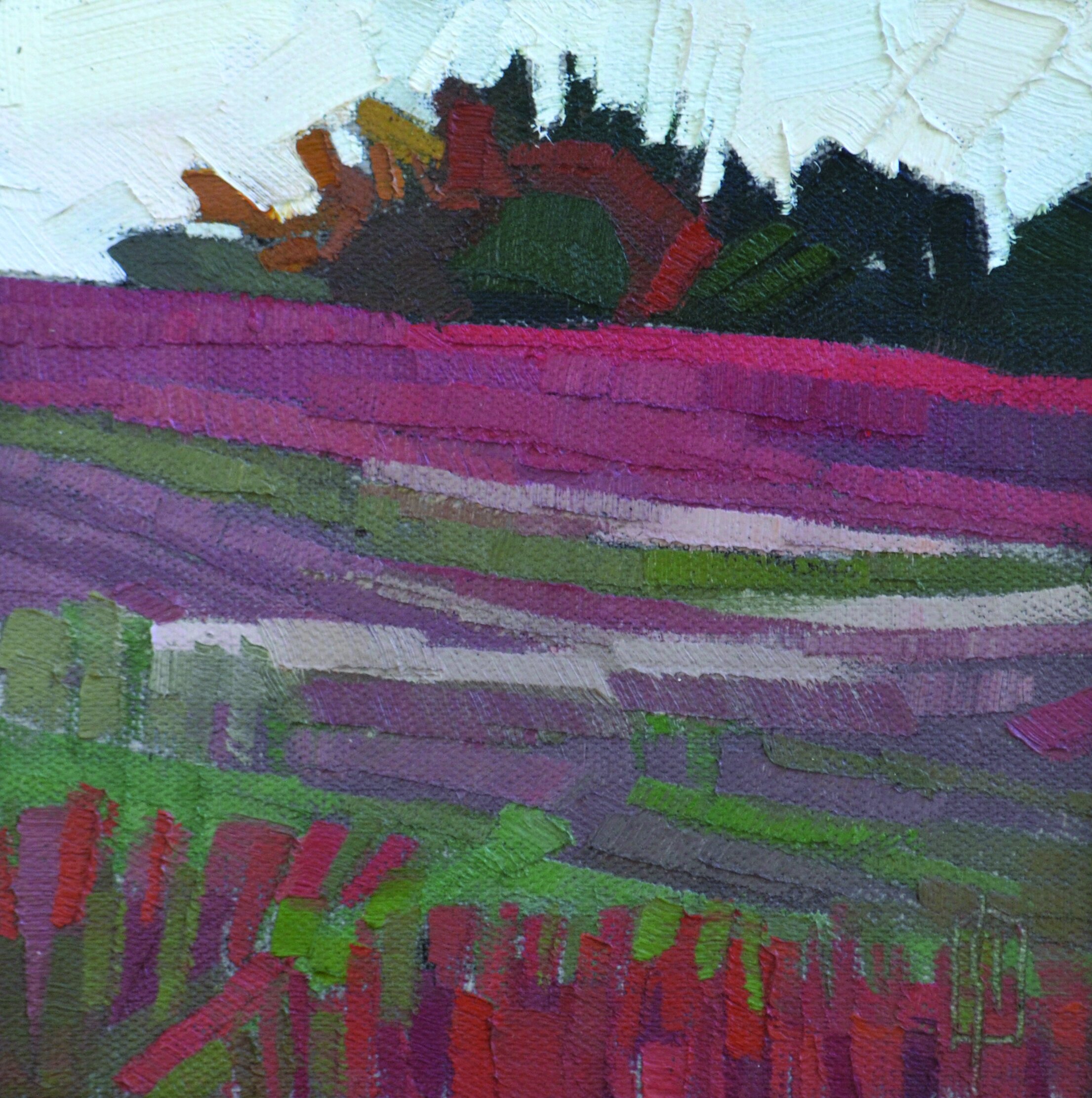   Heather Field Study II  6 x 6 oil on linen  