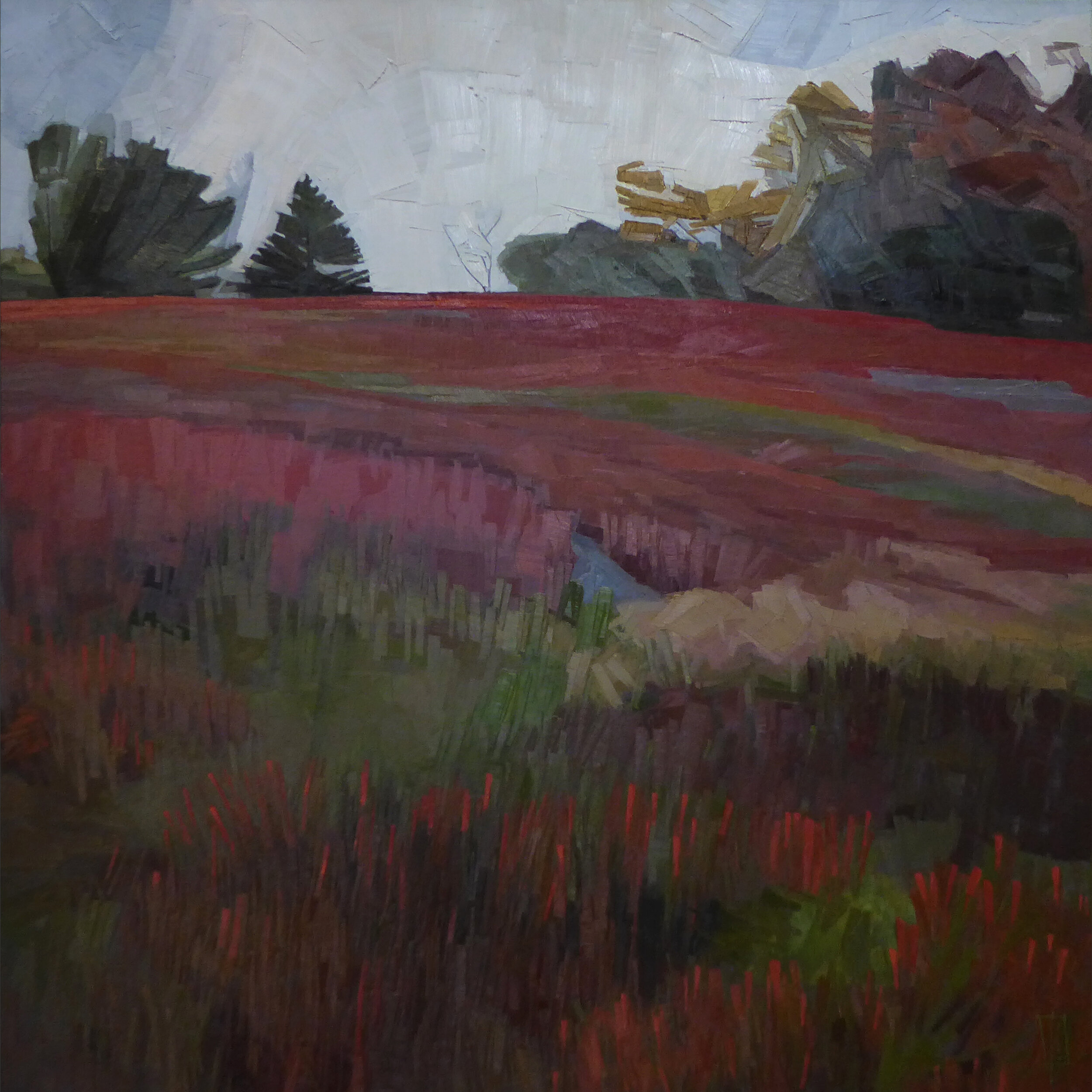   Field and Sky  36 x 36 oil in linen  sold 