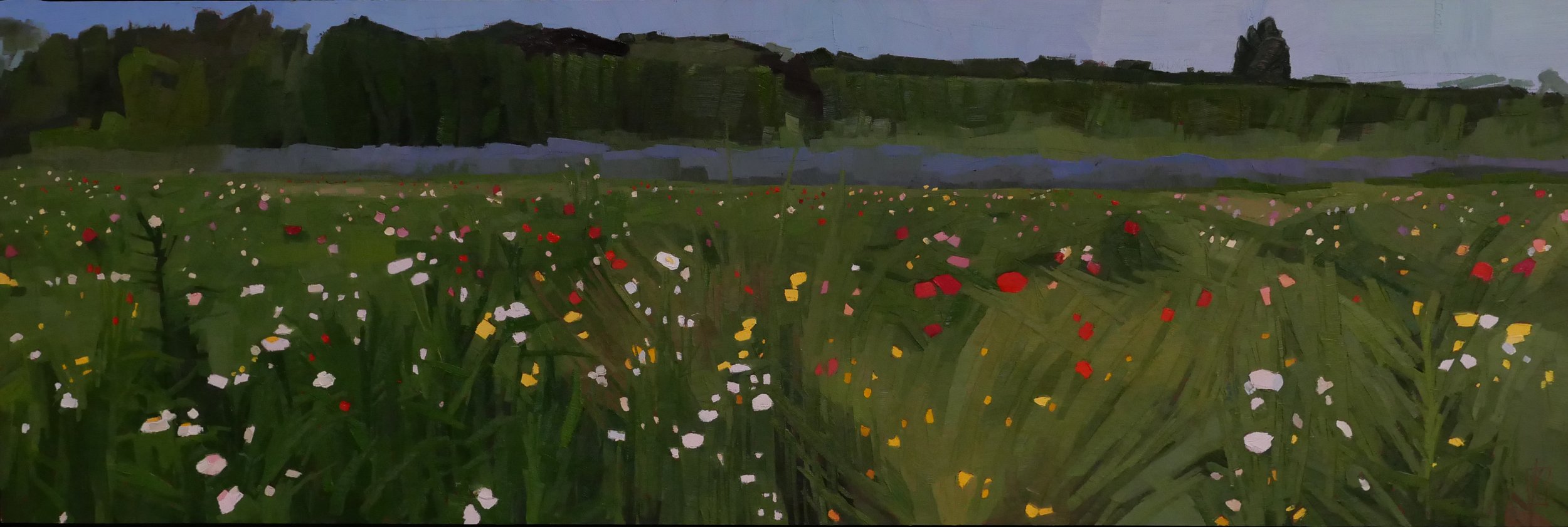   Field of Flowers  12 x 36 oil on linen  sold   Alpers Fine Art  Rockport, MA 