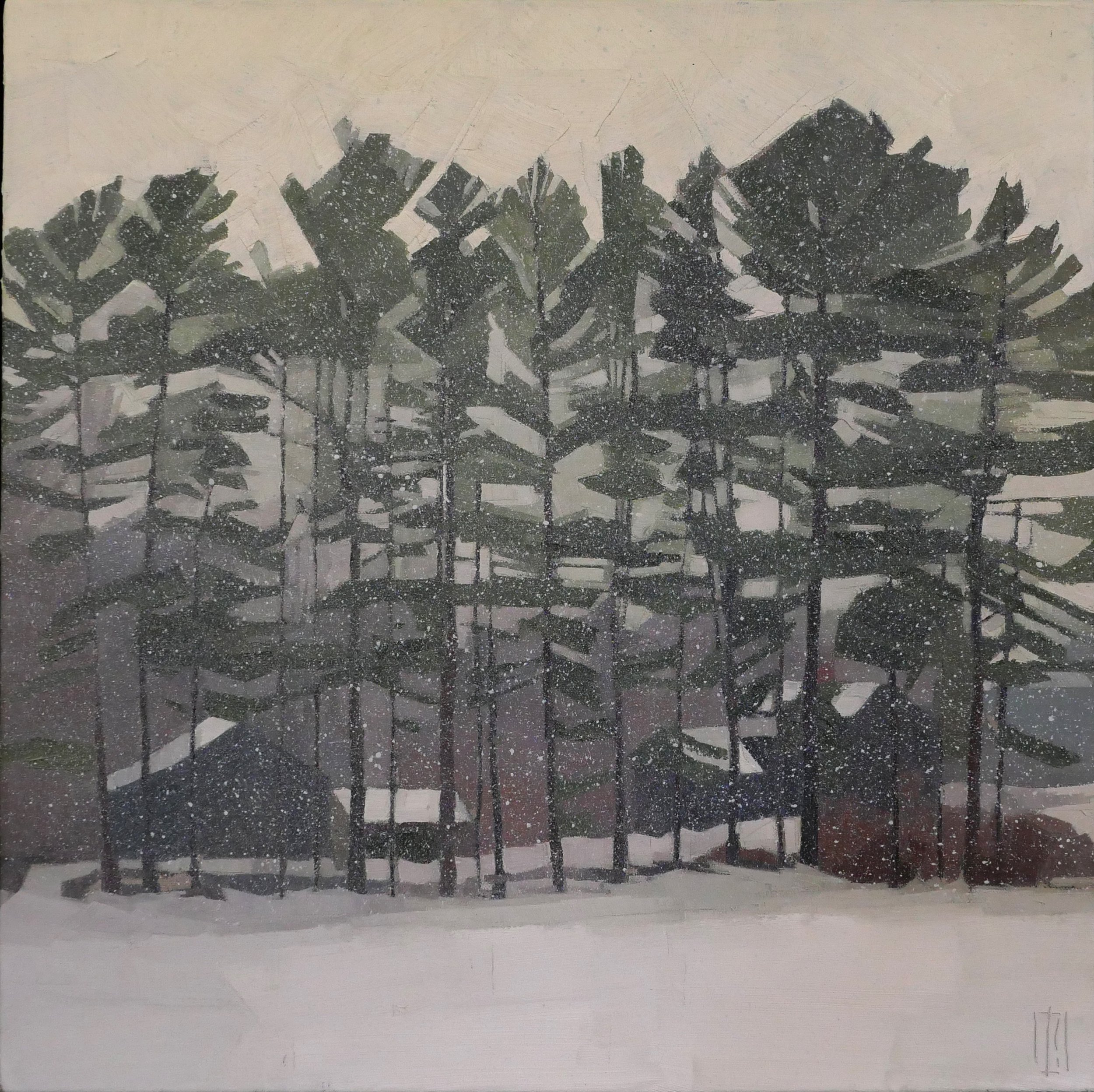   Pines in the Snow  20 x 20 oil on linen  sold 