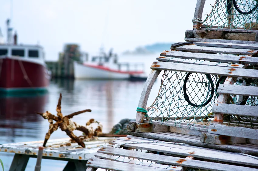 Lobster Traps.jpg