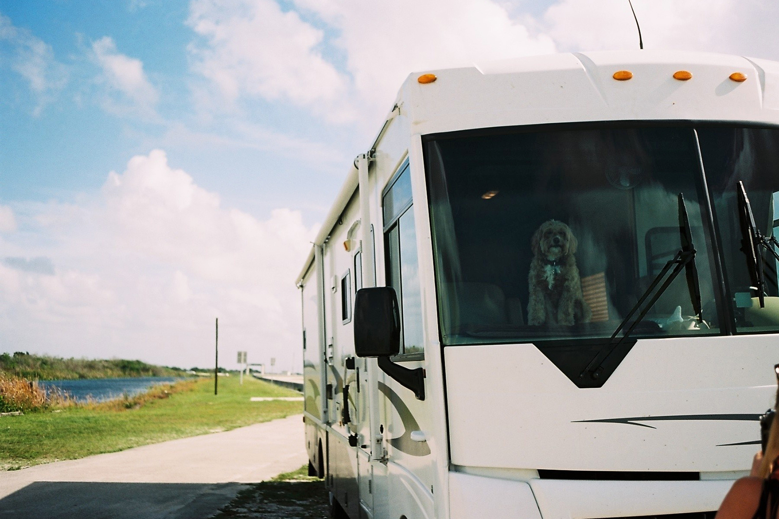  Everglades, Florida, USA, Dezember 2015 